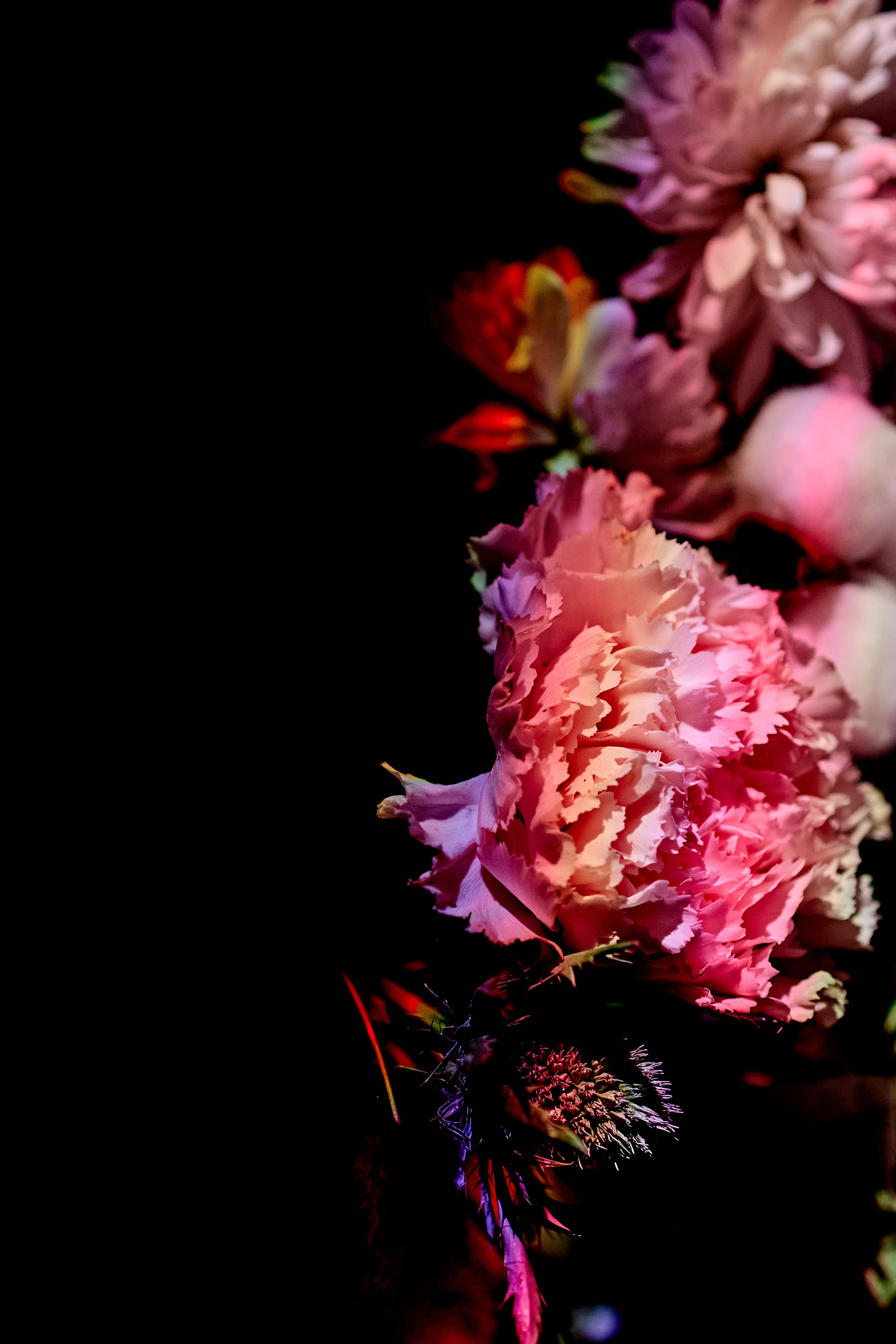 Esthetic. Фотограф Москва / TASIA_ZHUKOVA Photographer Moscow