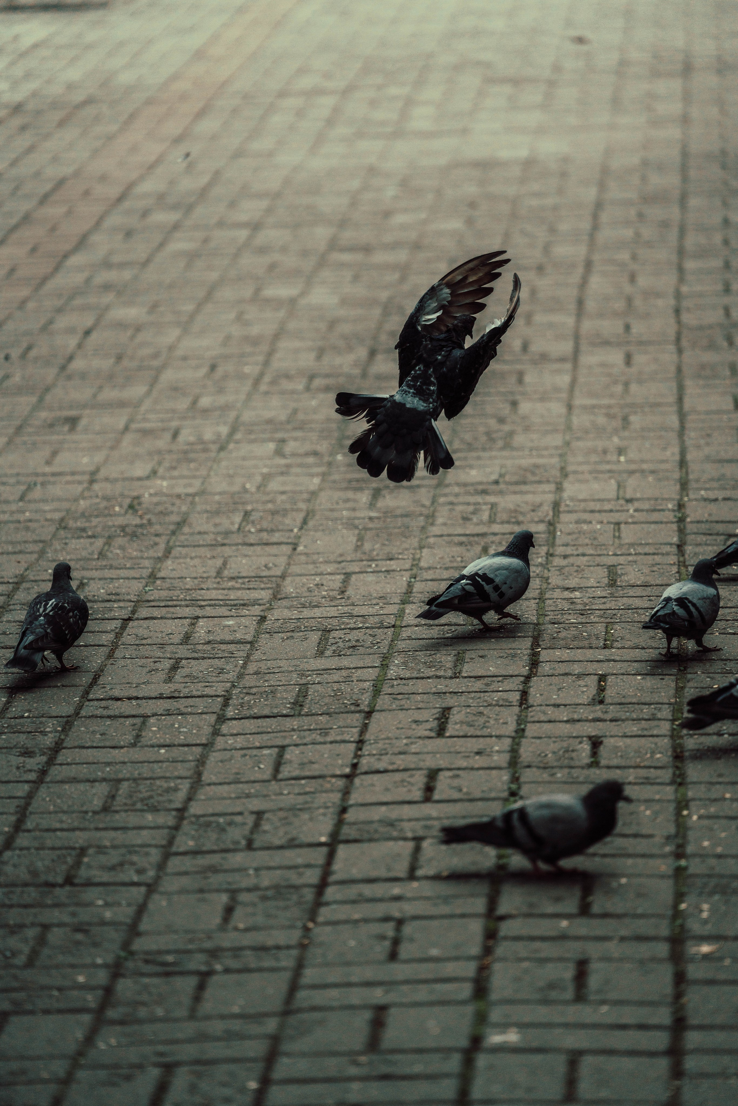 Усть-Каменогорск, Сентябрь 2024