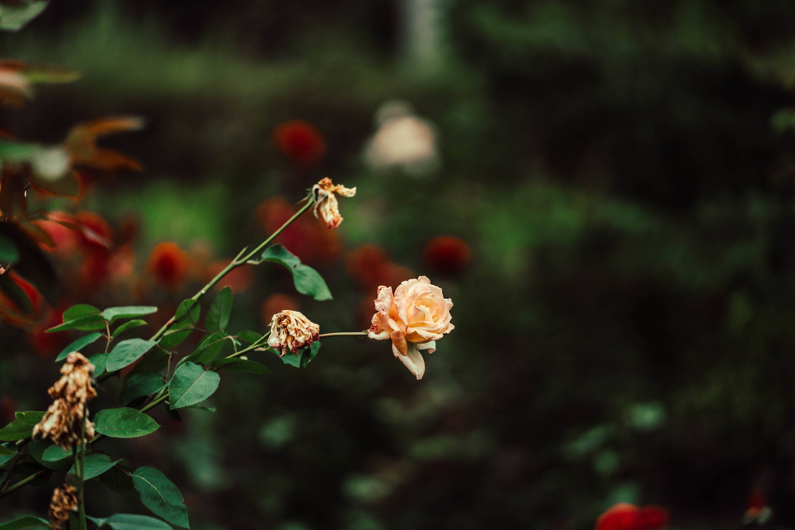 Усть-Каменогорск, Сентябрь 2024