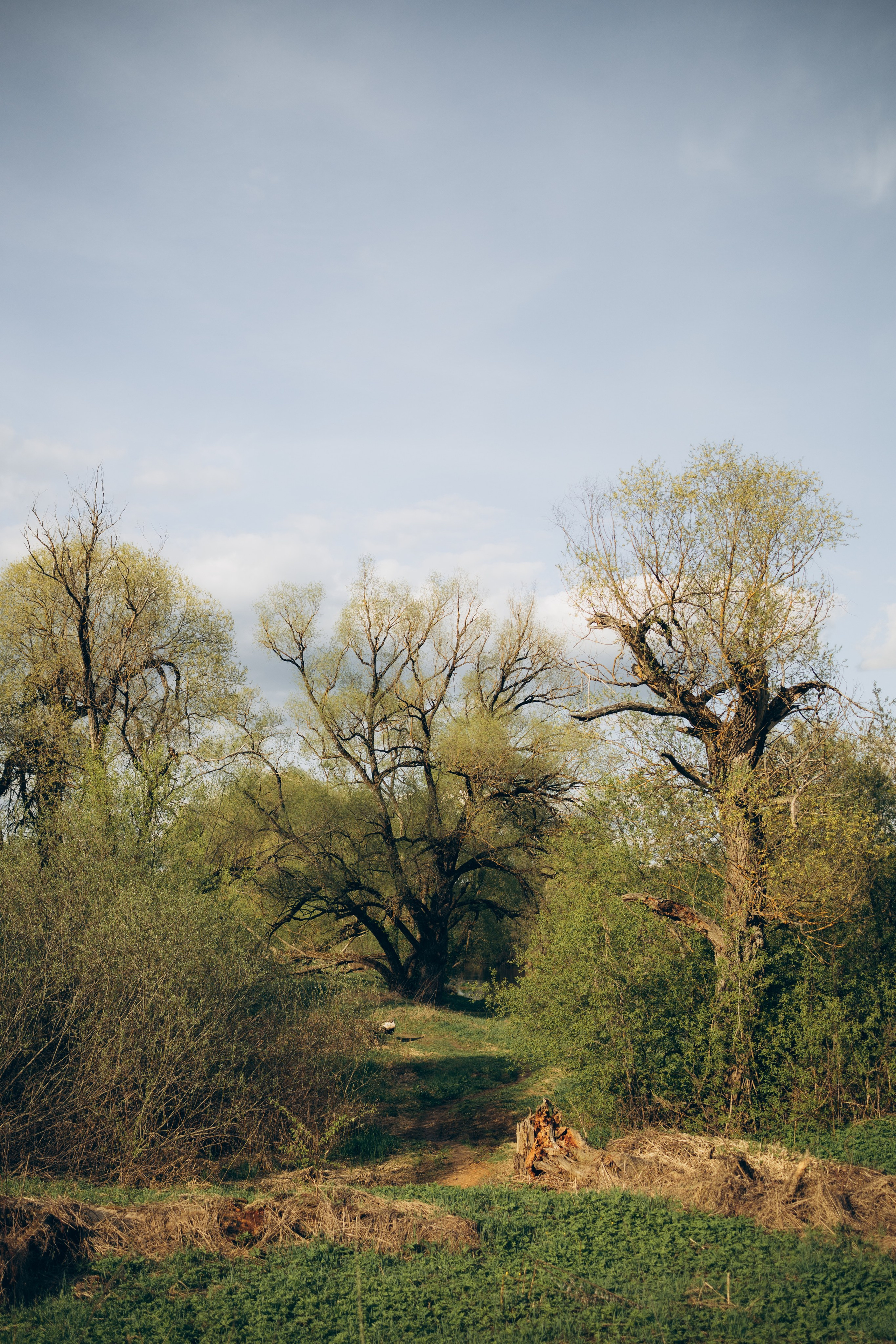 Istra. Женский фотограф Истра