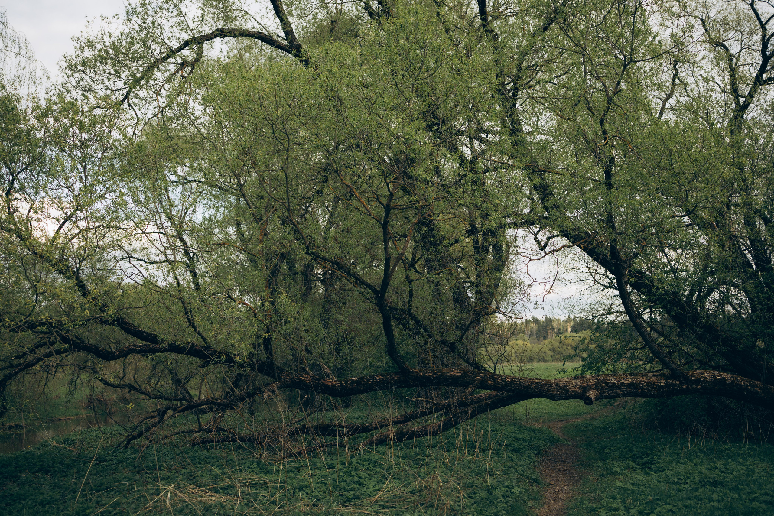 Istra. Женский фотограф Истра