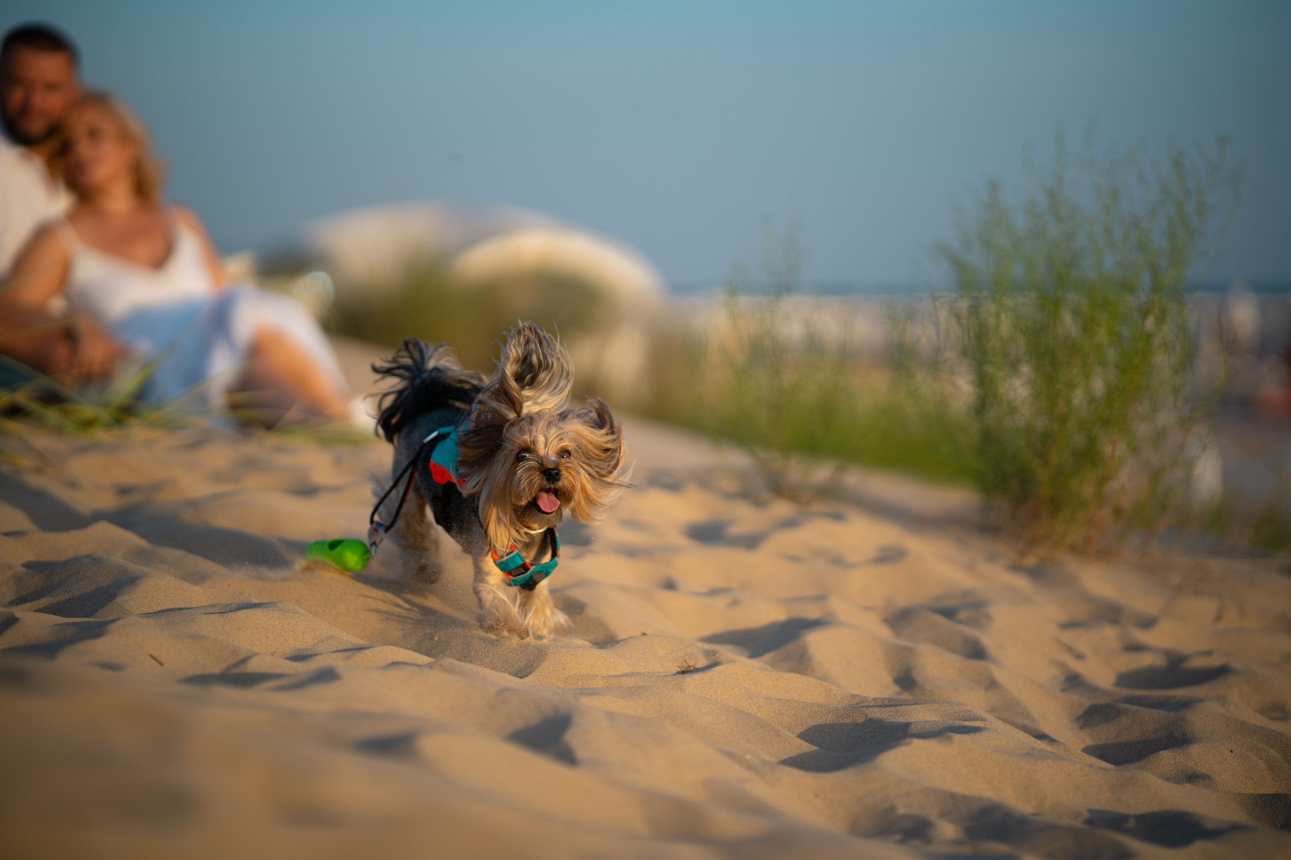Летние пакеты сьемок в Анапе. Dofaminlab, фотография, видео, контент и продвижение соцсетей