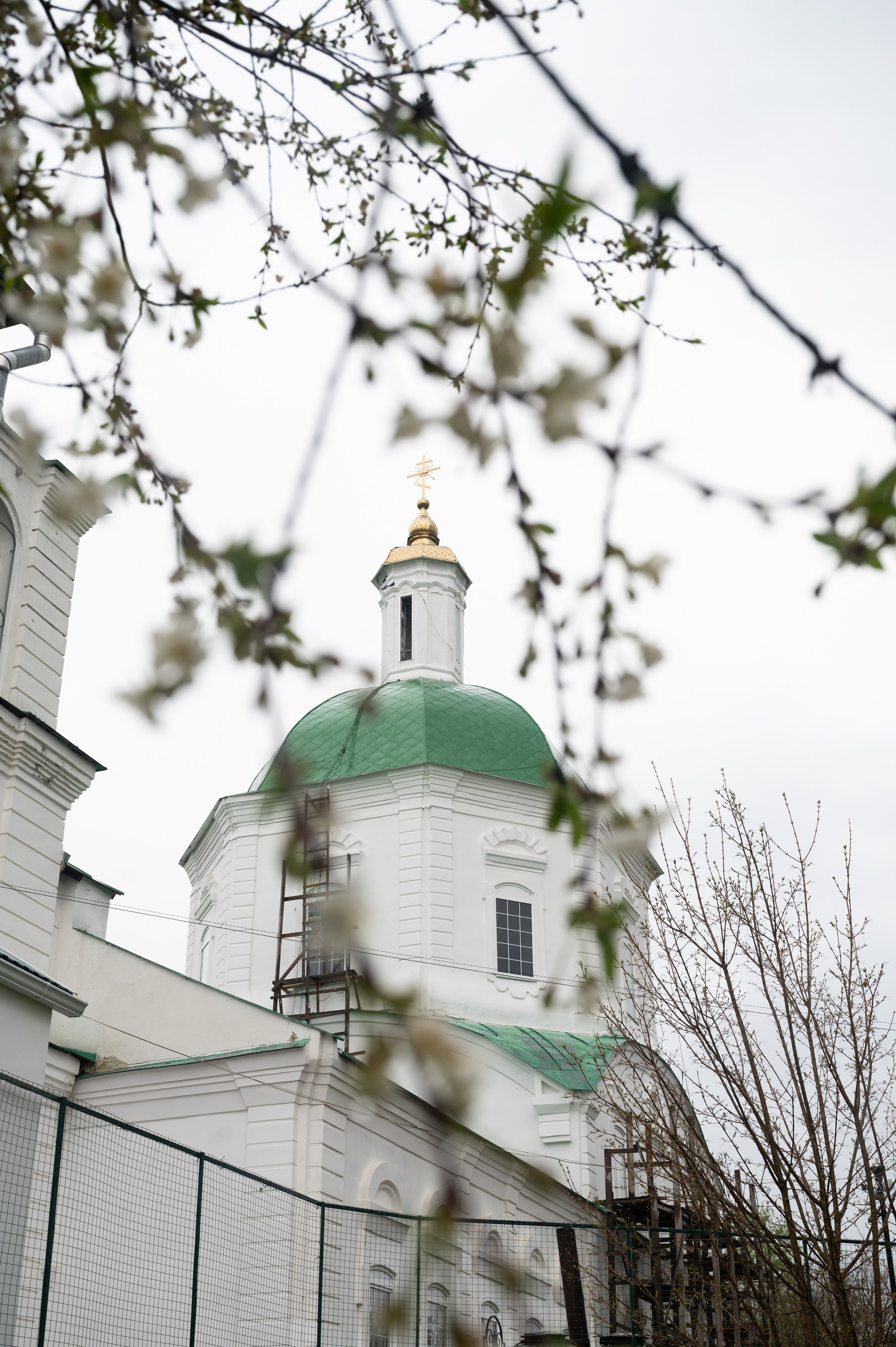 Вёшенская крещение Антонины. Фотограф Алёна Мил