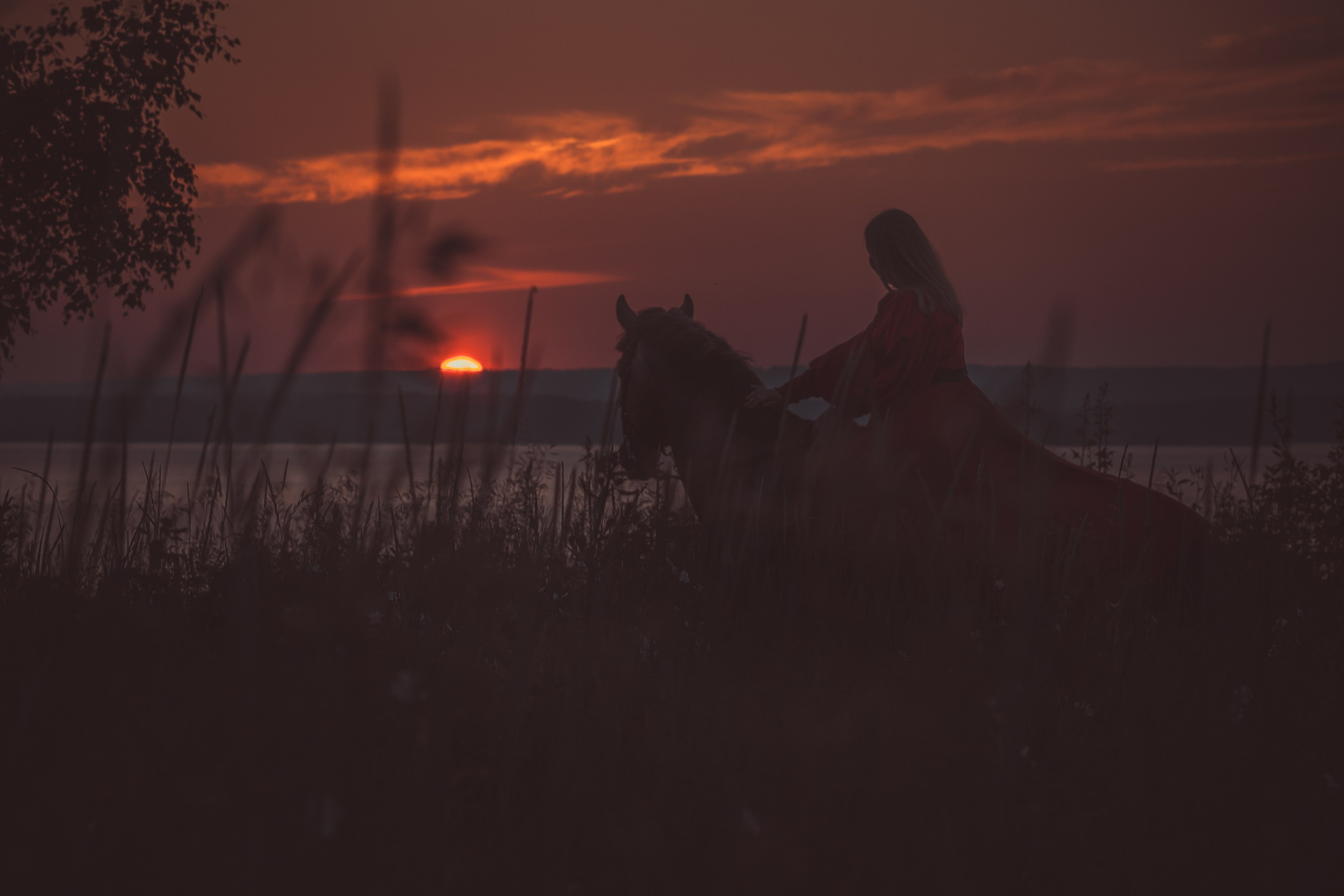 Съемка с лошадью Иркутск Иркутская область. Сайт фотографа Елены Коноваловой Иркутск
