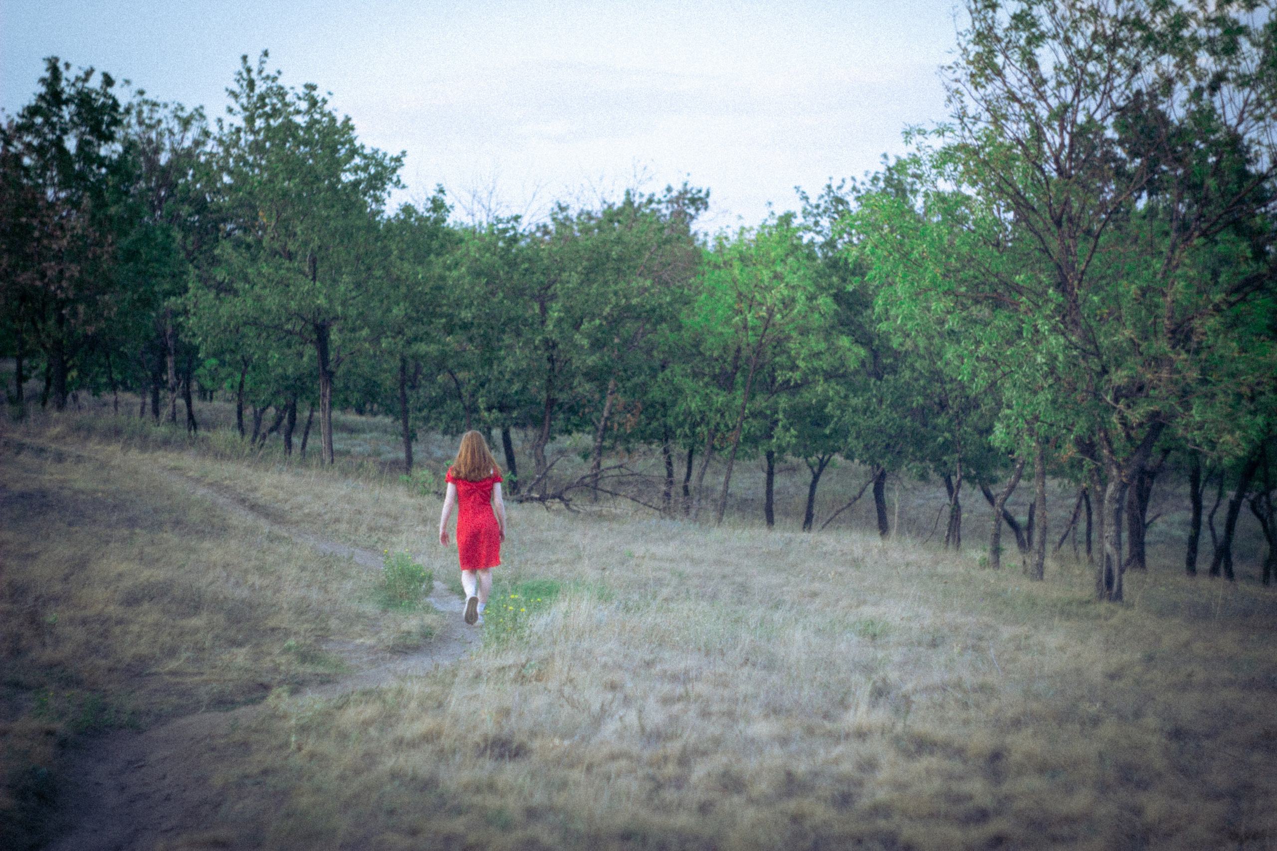 Платье в горошек. • Фотограф Александра Светозар Алчевск •