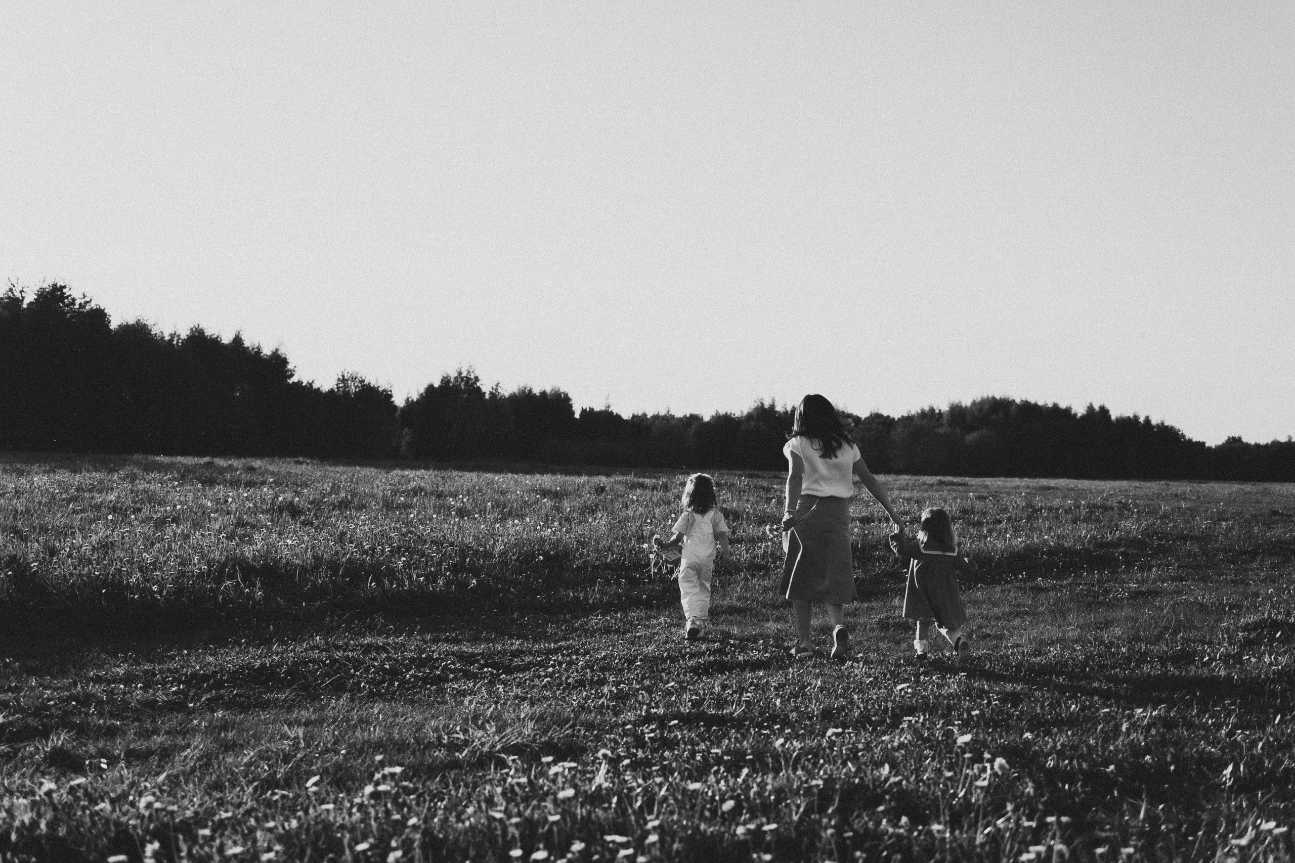 Солнечные львята. Фотограф Москва Светлана Кирюшина