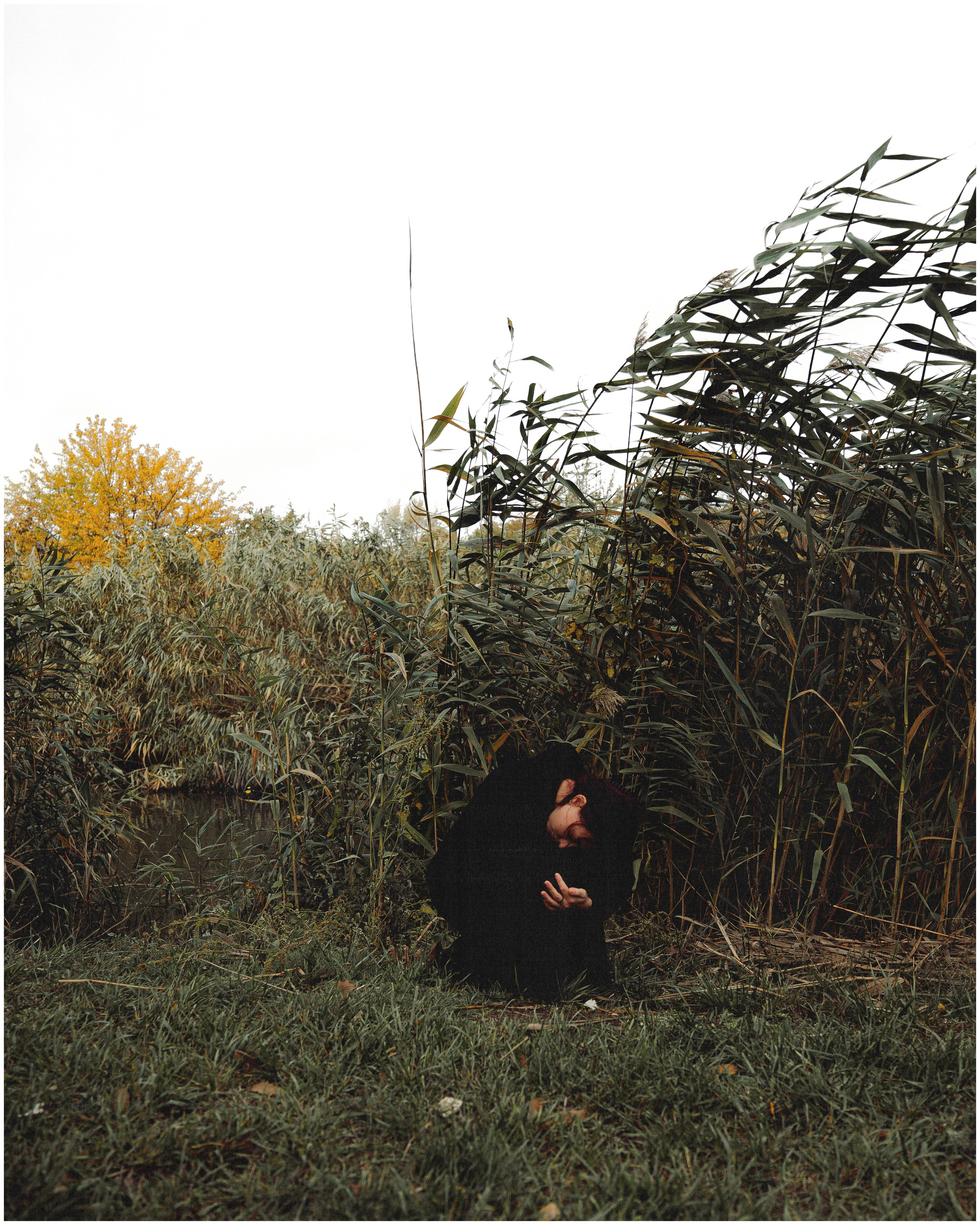 Осенняя фотосессия на природе с гвоздиками