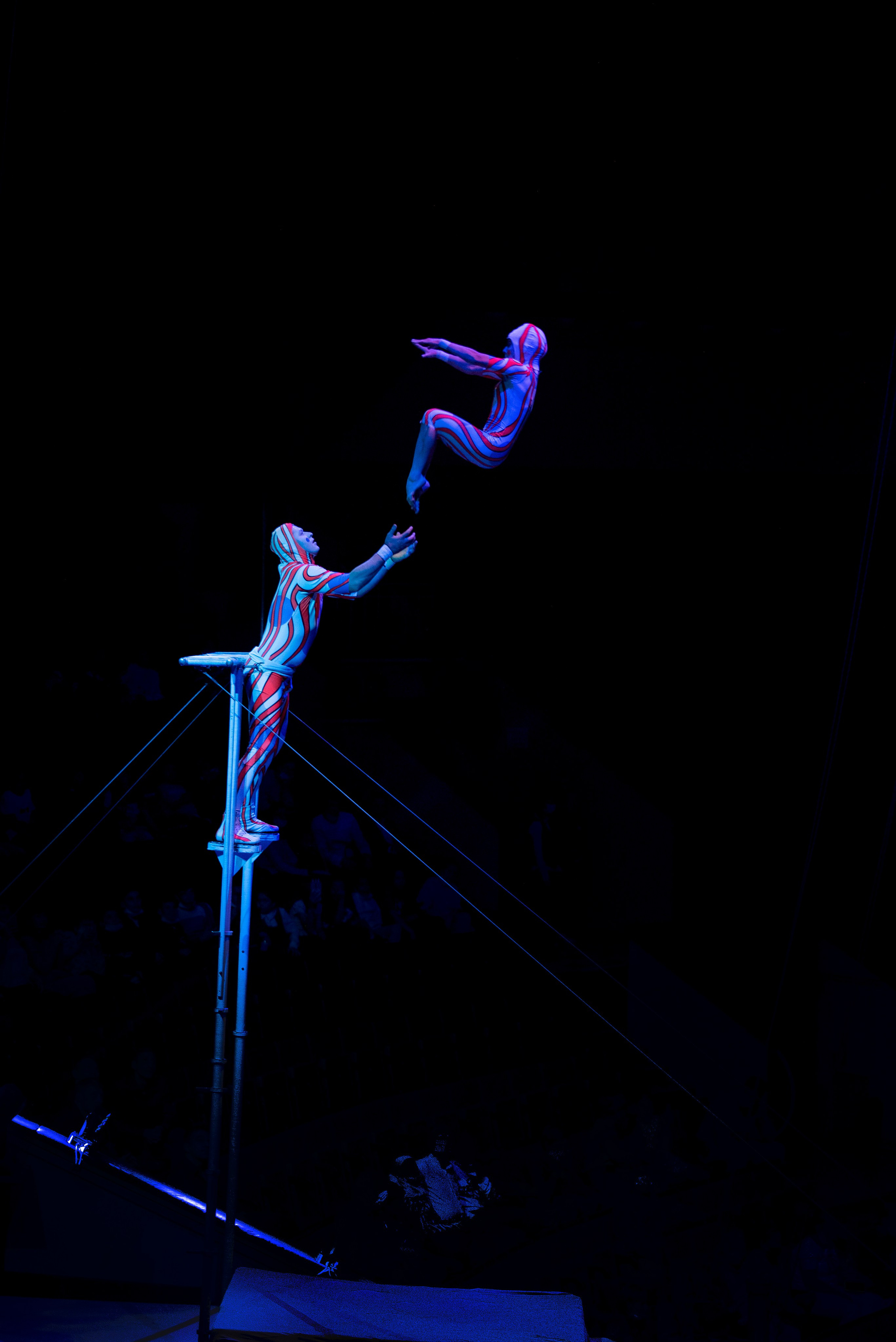 Цирк Запашных — Шоу И100рия. Женский и семейный фотограф в Москве, Железнодорожном Анастасия Кинёва