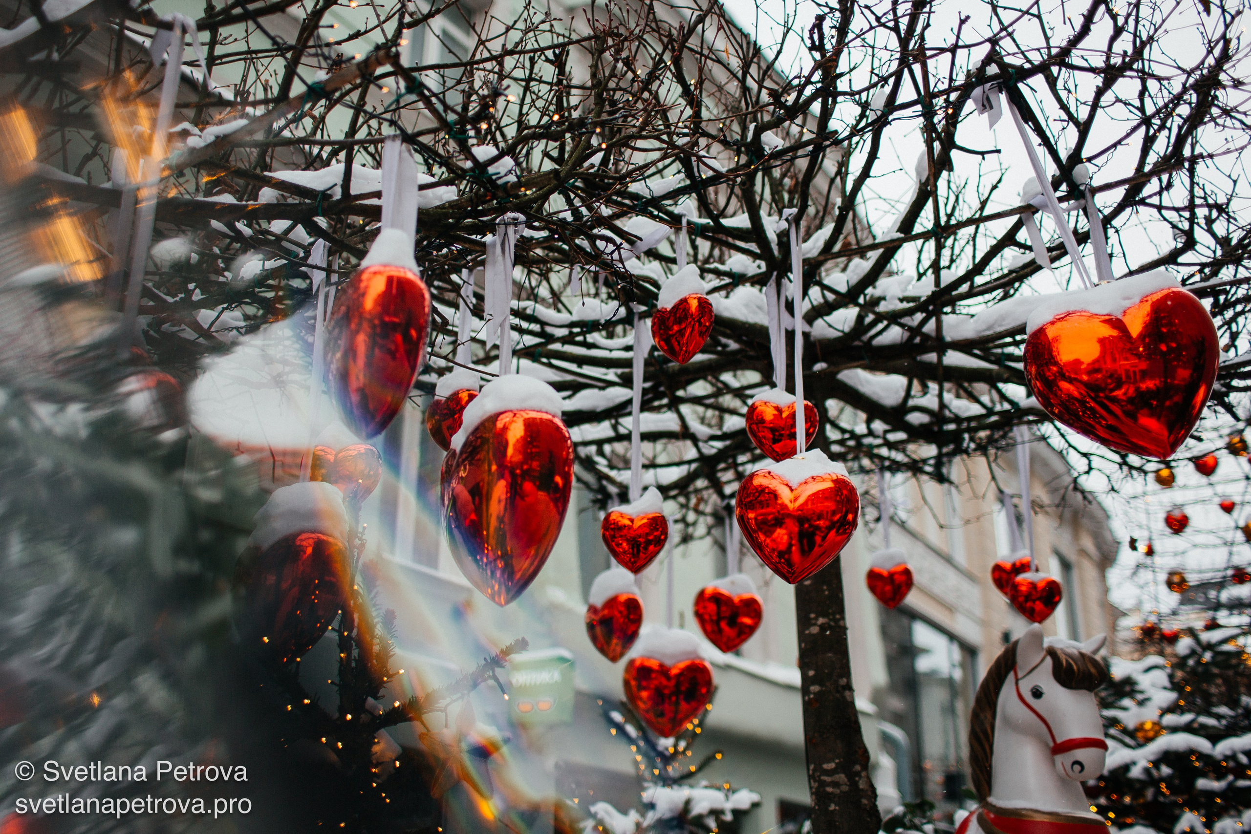 Новогодние Локации 1 января 2026. Фотограф Светлана Петрова