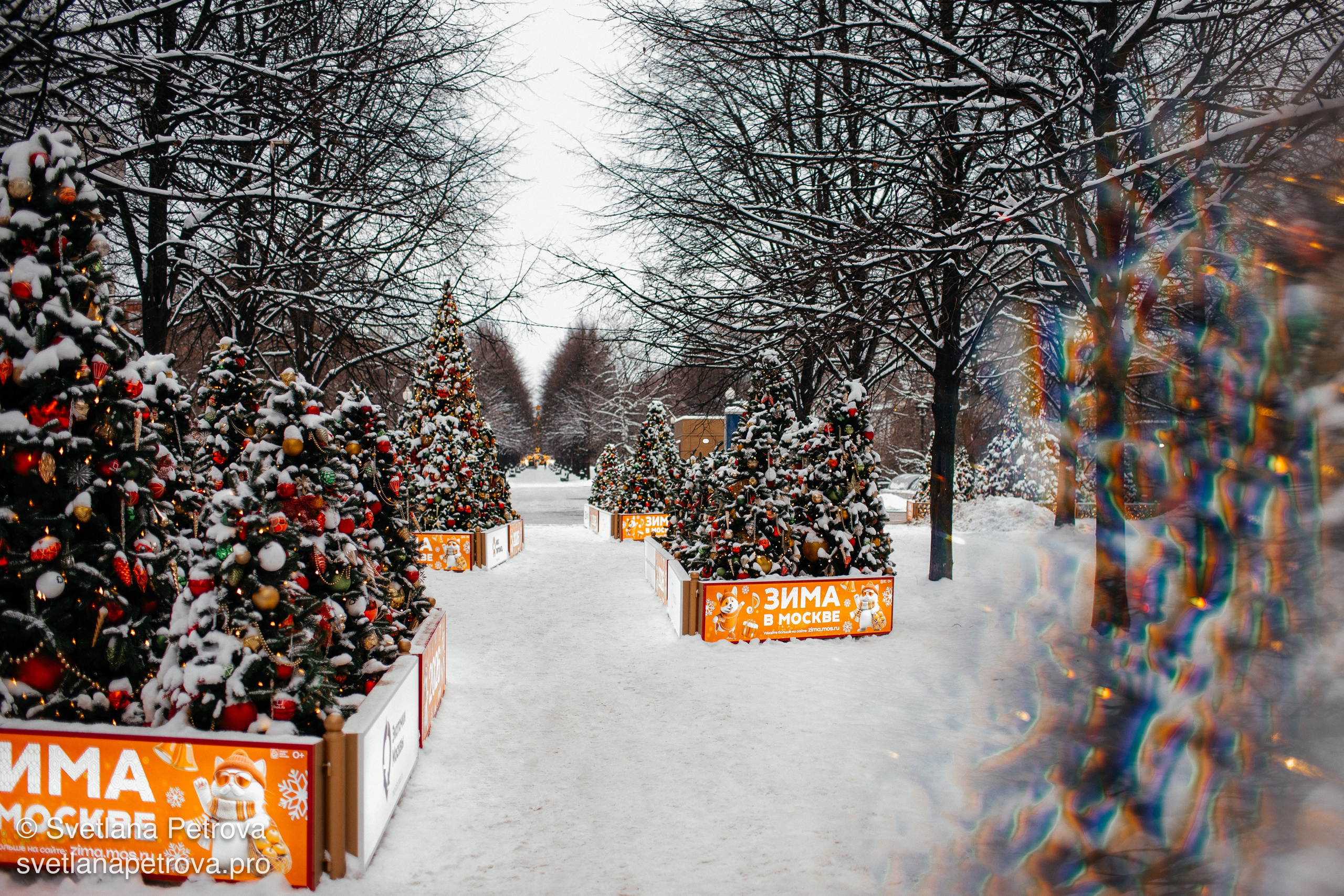 Новогодние Локации 1 января 2026. Фотограф Светлана Петрова