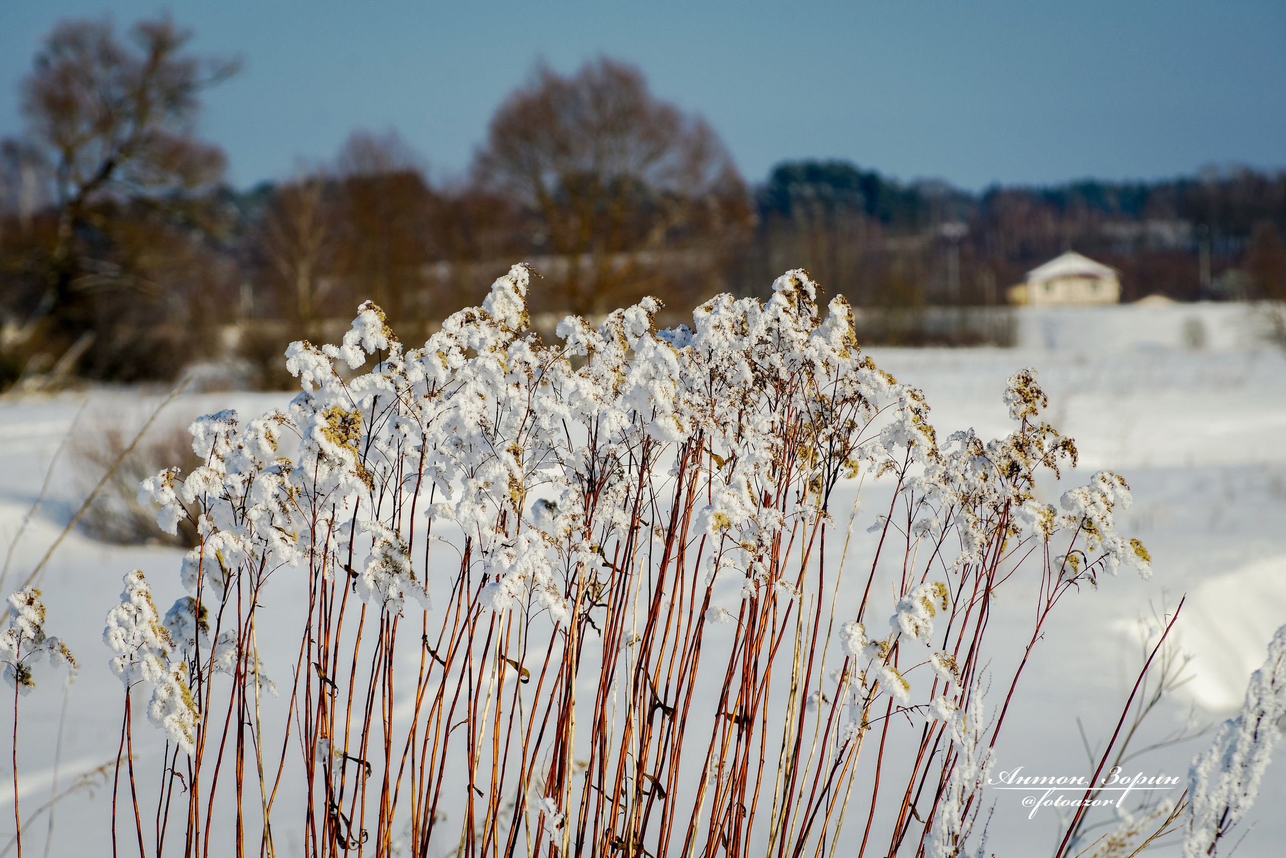 Конная охота. Семейный и детский фотограф Антон Зорин