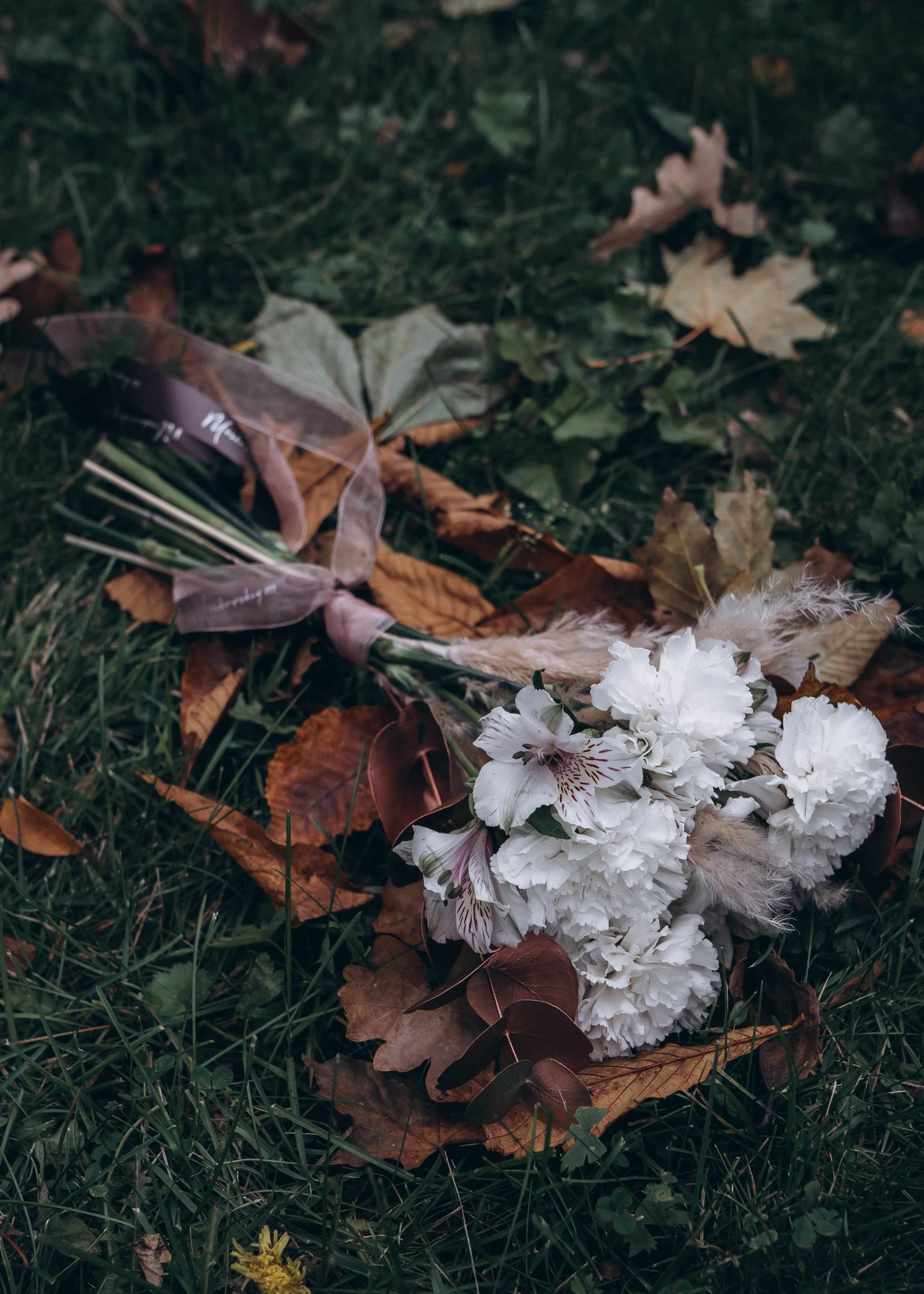 Лавстори в парке. Фотограф Ксения Овтина