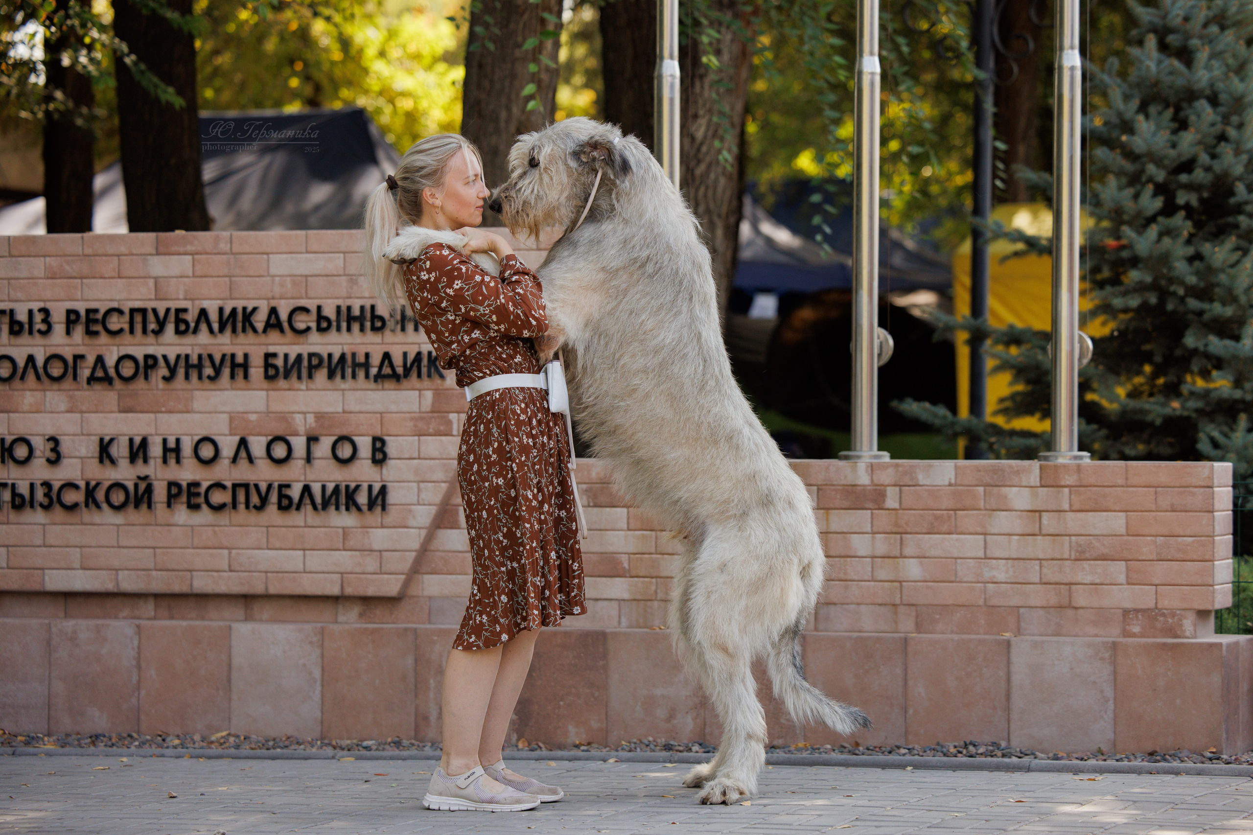 Бишкек 3х CACIB 26-28.09.2025. Фотограф-анималист Юлия Германика