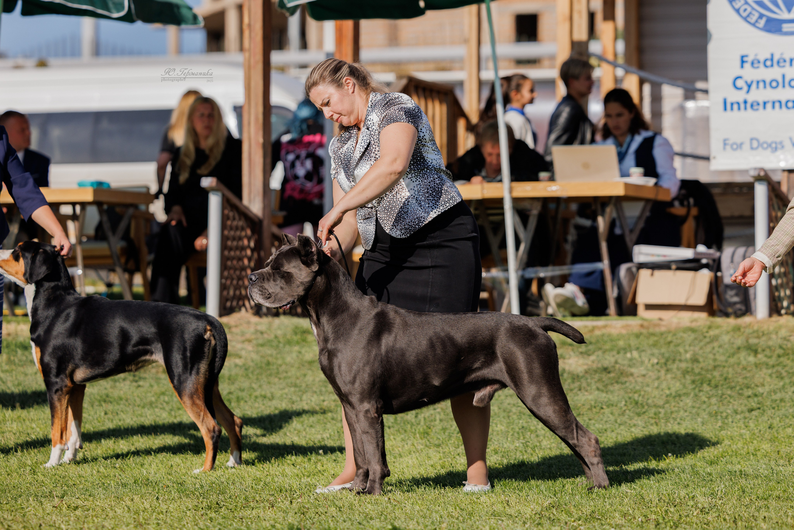 Ереван 14-16.10.2025. Фотограф-анималист Юлия Германика
