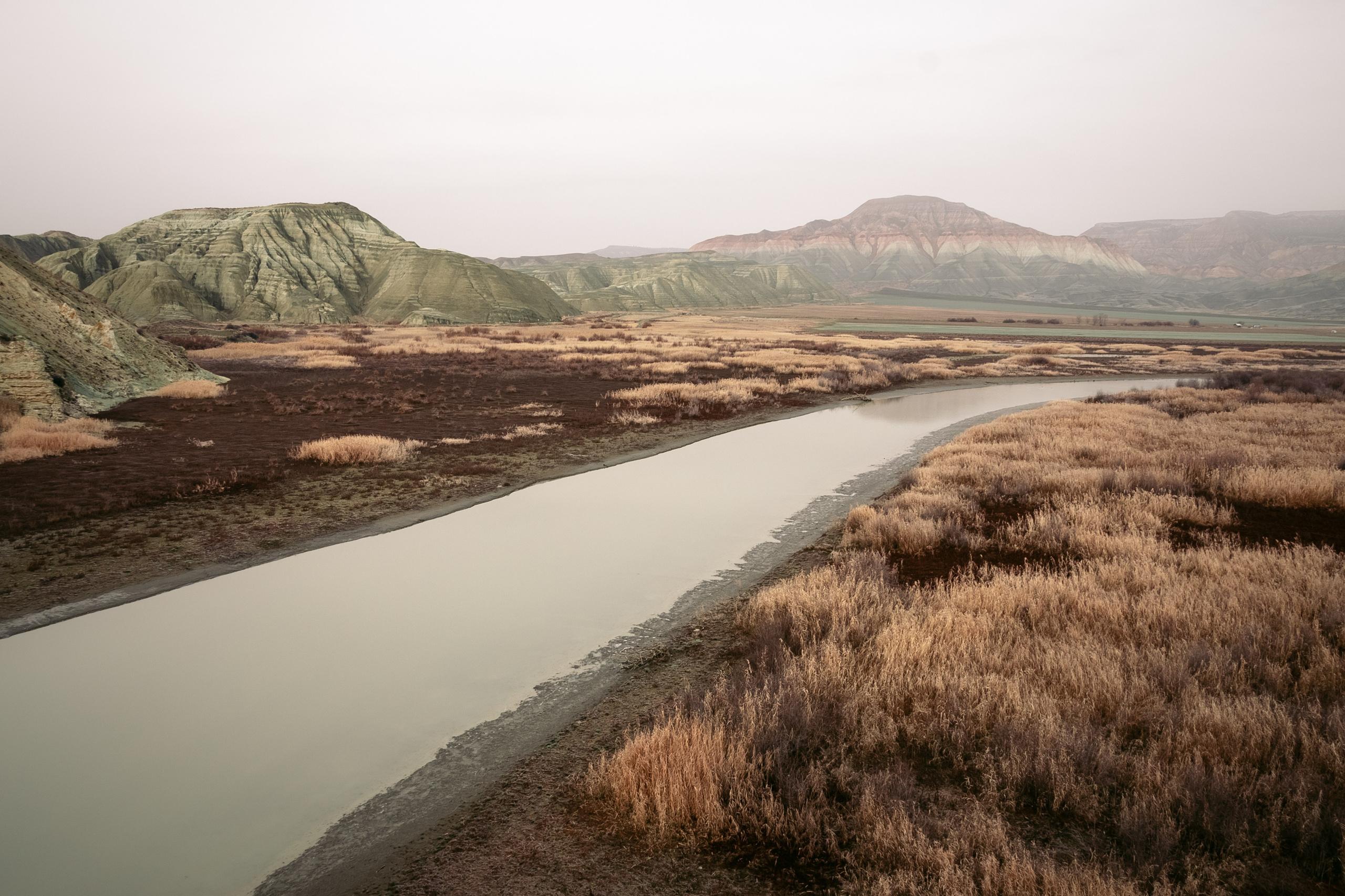 Турция, Птичий заповедник Наллихан. Юля Дэй • Фотограф, Санкт-Петербург
