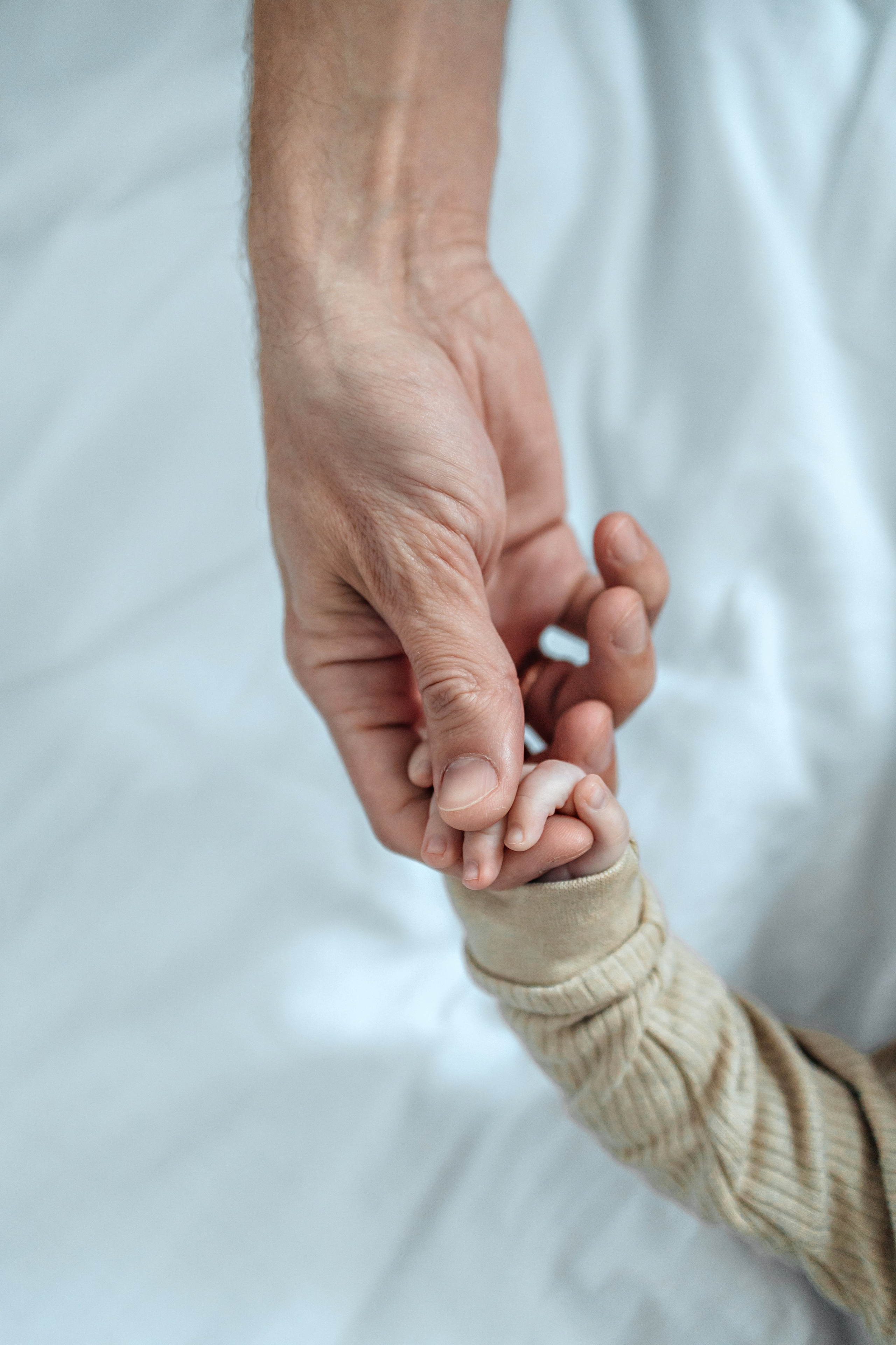 ПАКЕТ «Simple». Главная