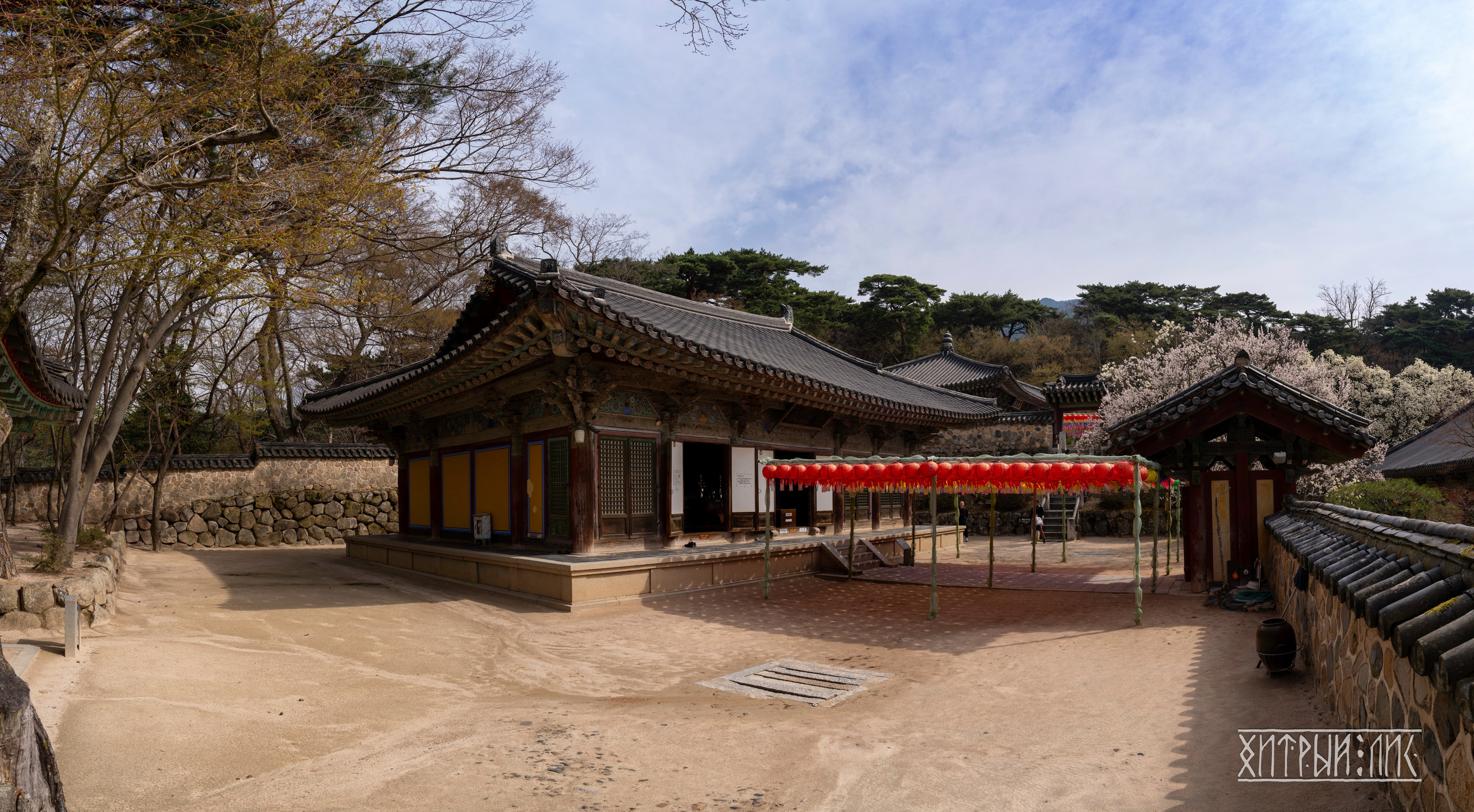 Южная Корея. Фотограф-путешественник Самойлов Максим «Sly Fox»