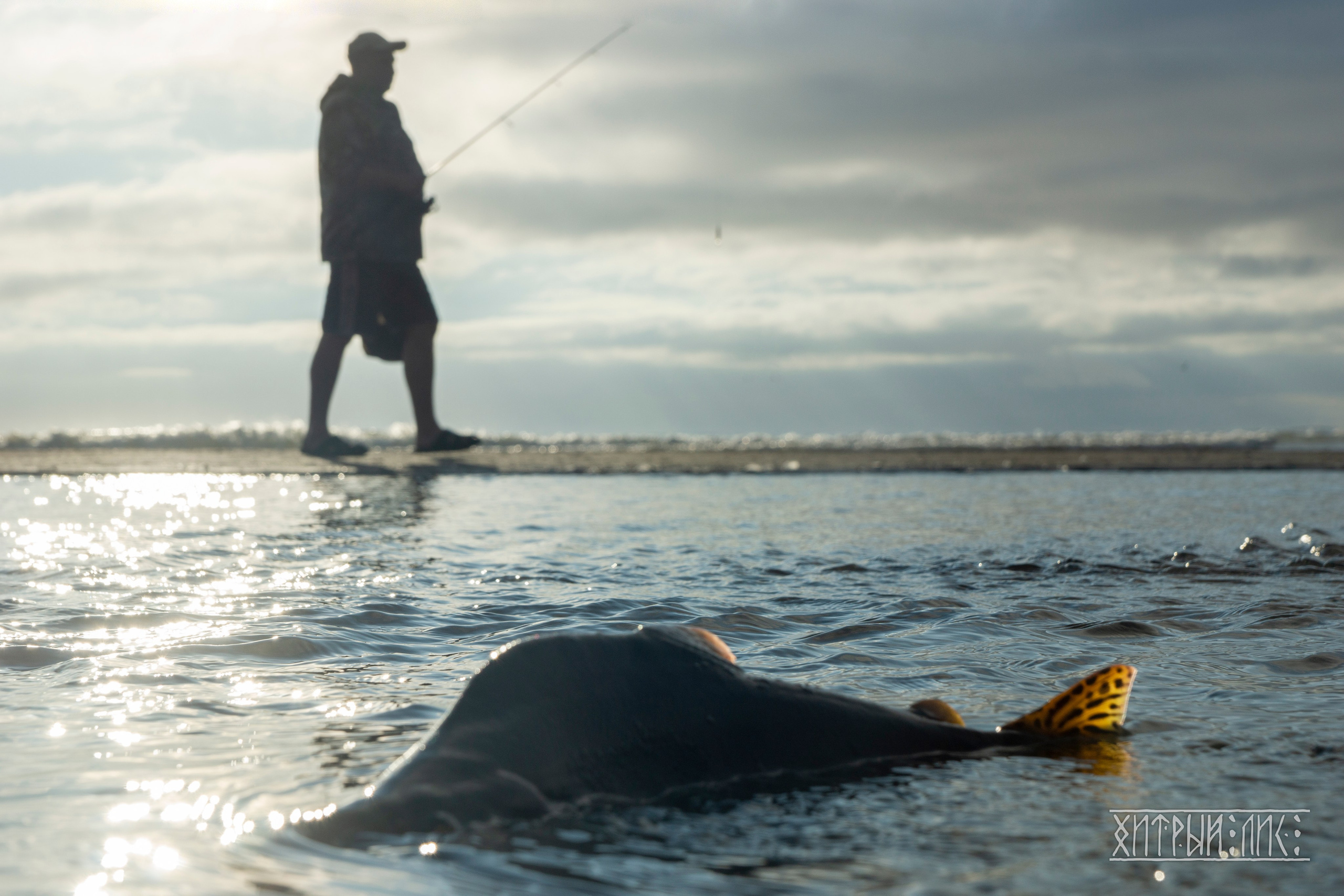 Сахалин. Фотограф-путешественник Самойлов Максим «Sly Fox»