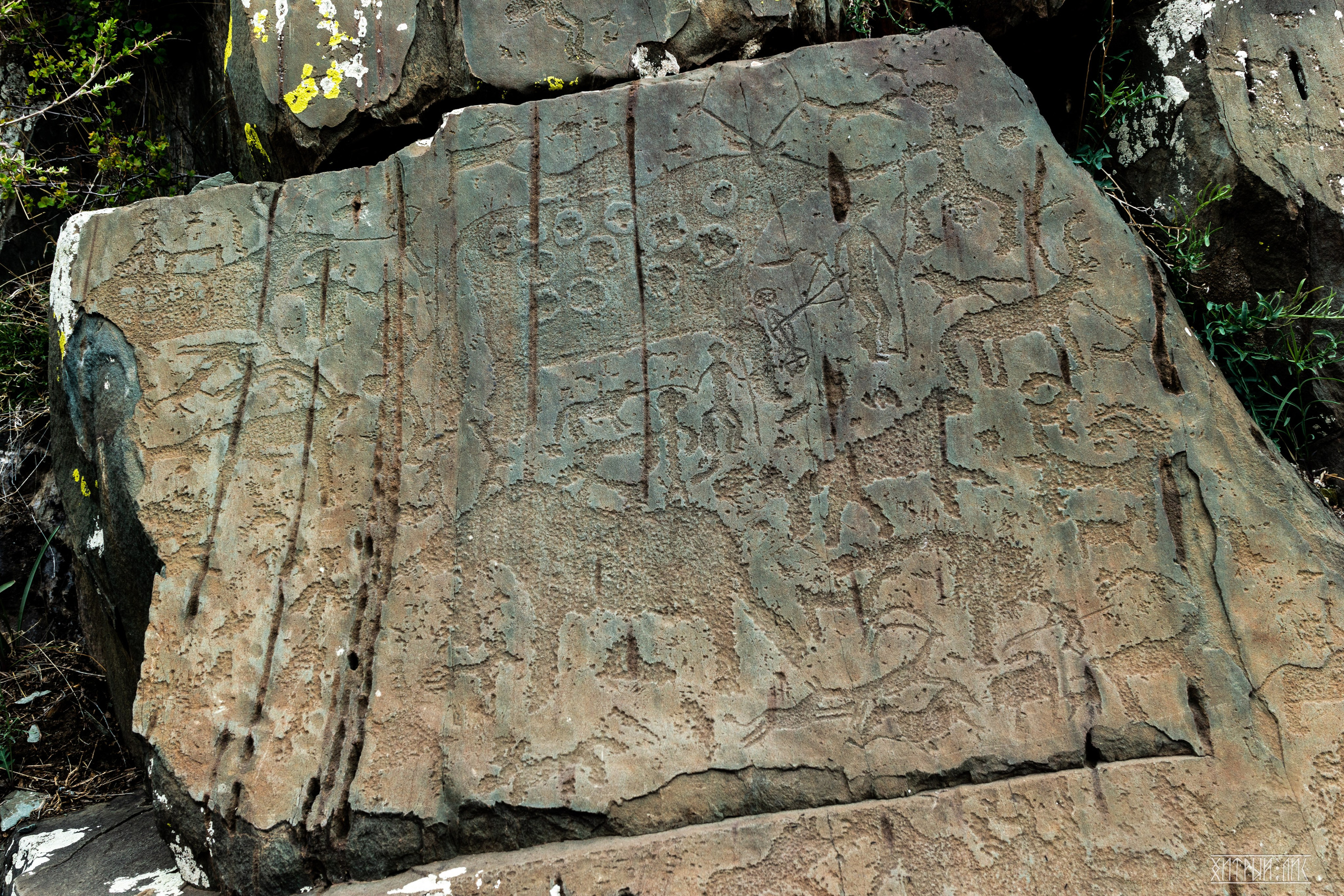 Алтай. Фотограф-путешественник Самойлов Максим «Sly Fox»