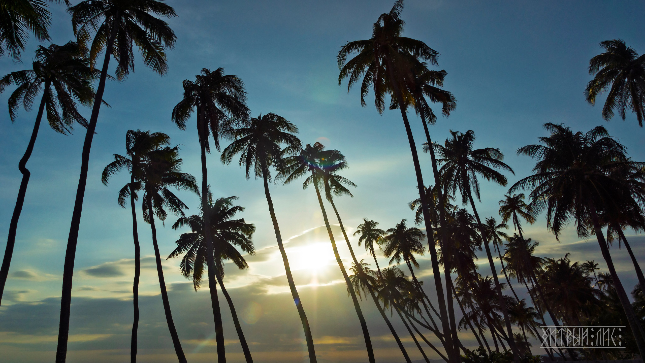 Вьетнам. Фотограф-путешественник Самойлов Максим «Sly Fox»