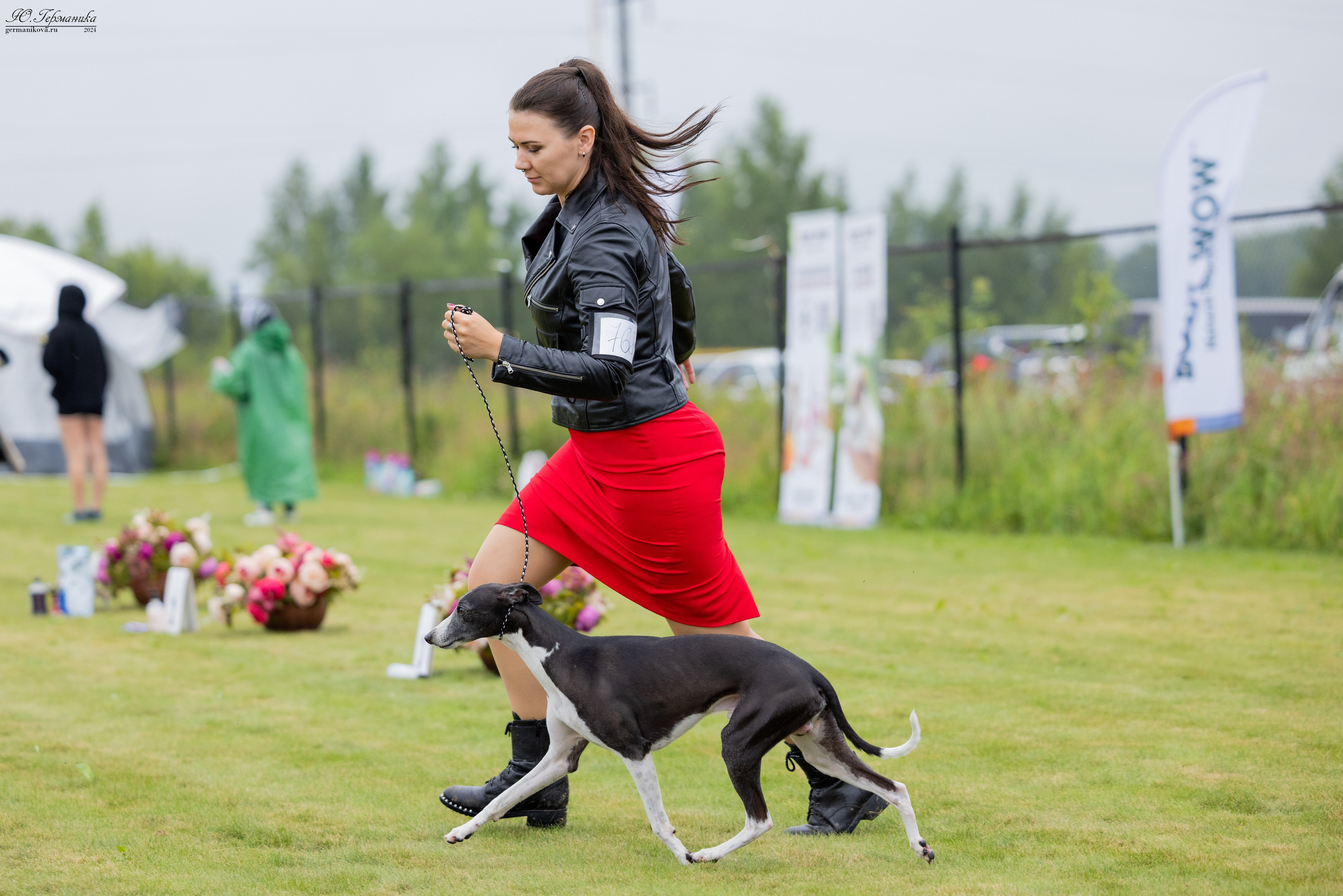 Ярославль 21.07.24 и Балашиха 13.07.24. Фотограф-анималист Юлия Германика