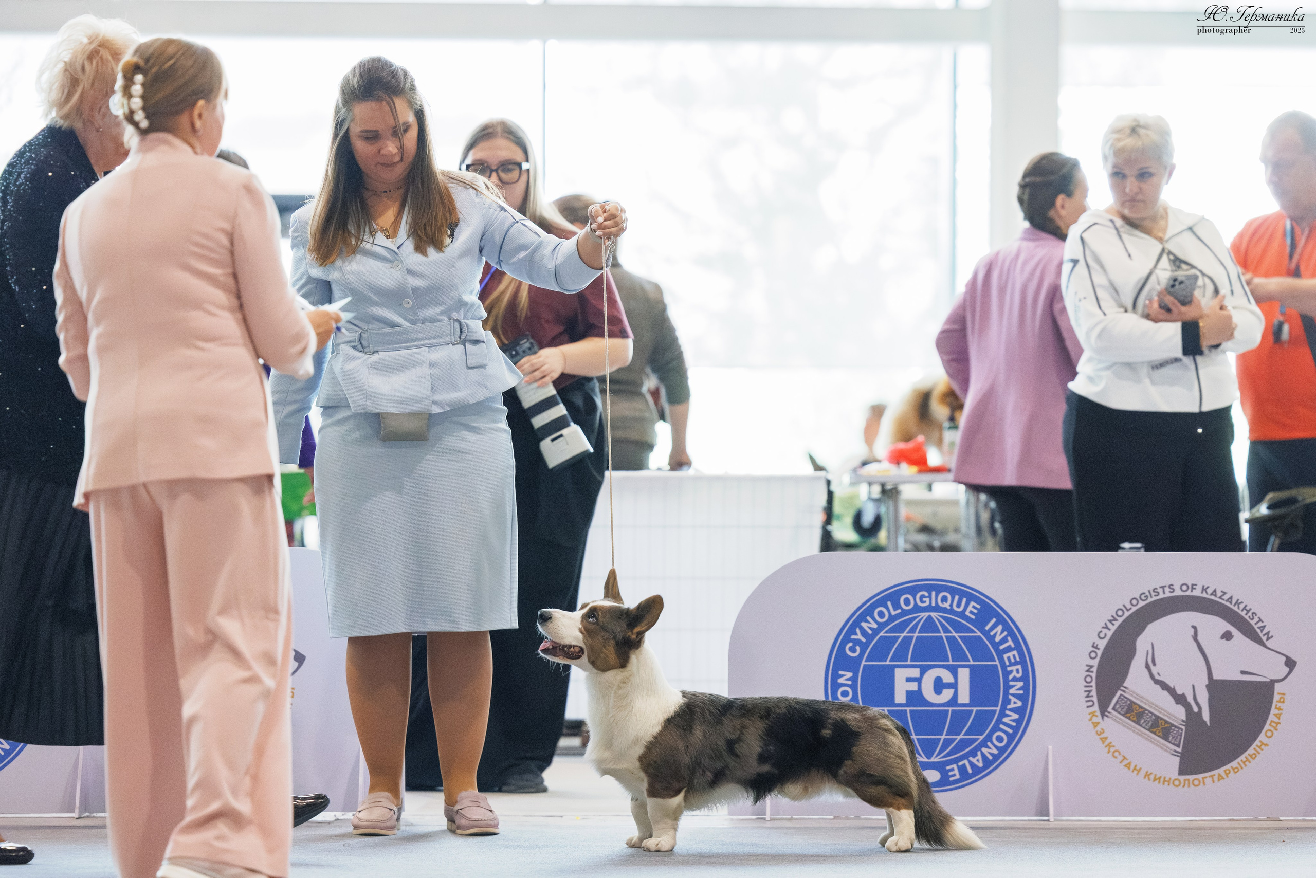 Астана 2хCACIB 3-4.05.2025. Фотограф-анималист Юлия Германика