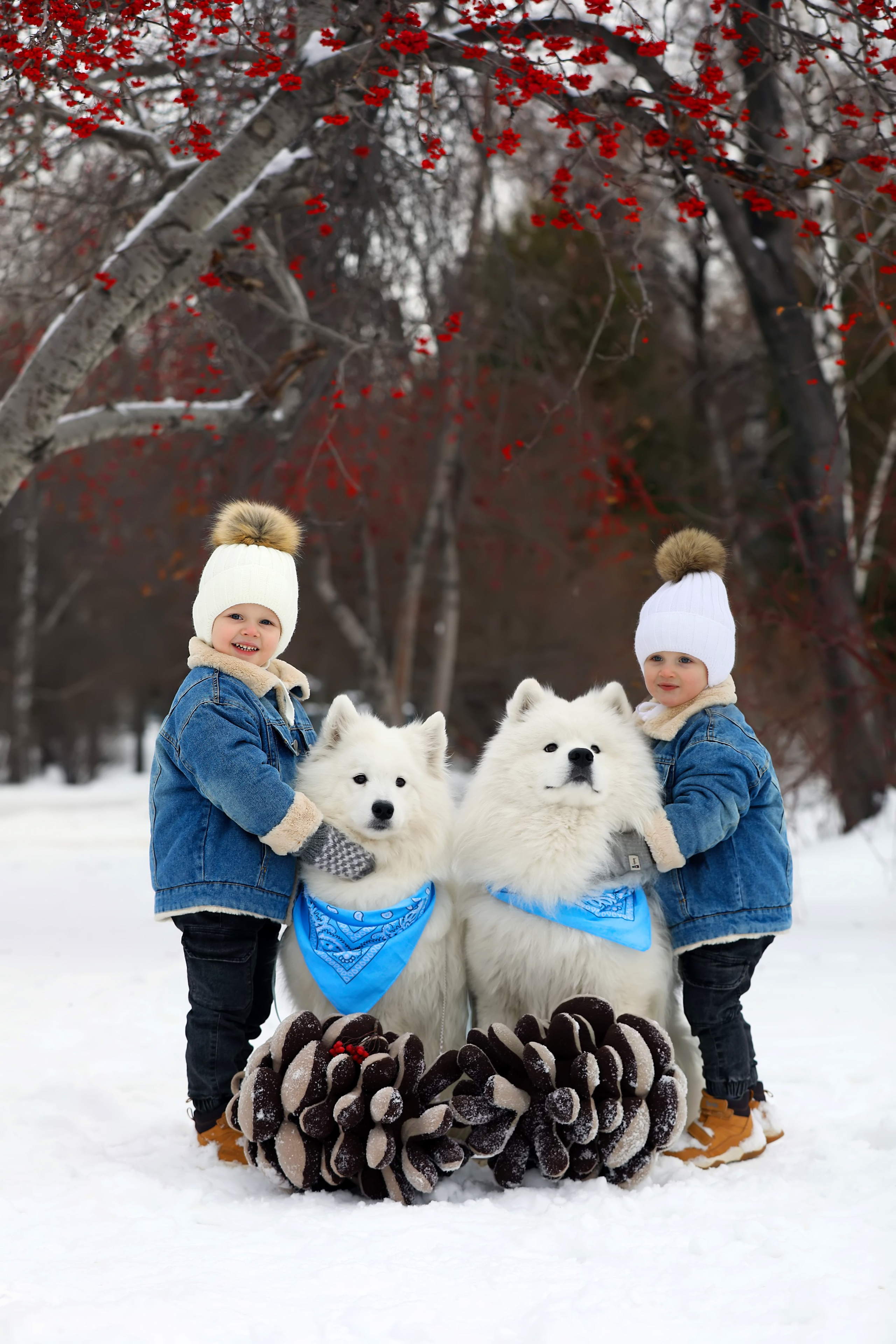 #фотоссамоедами