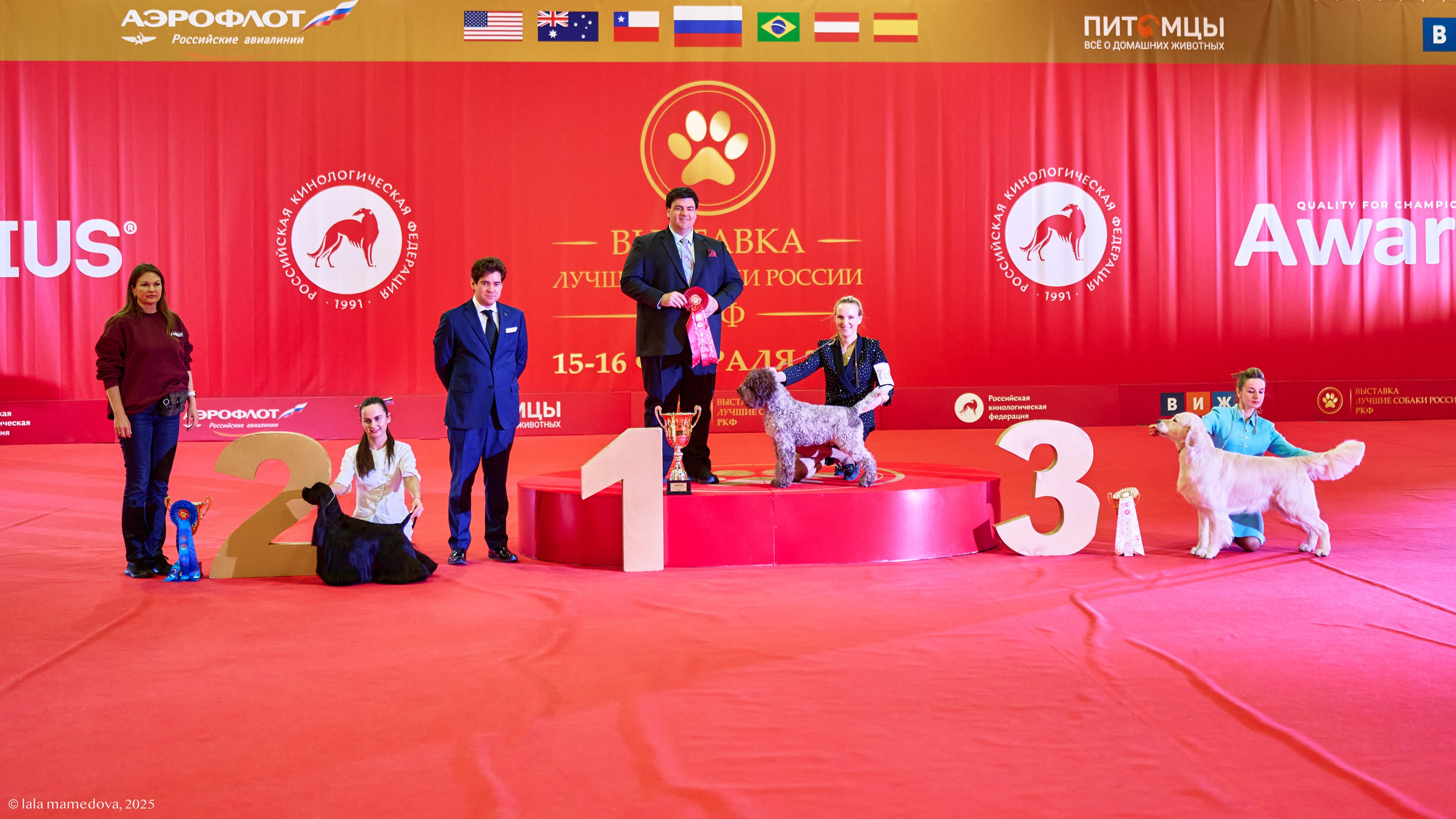 ЛУЧШИЕ СОБАКИ РОССИИ РКФ 2025