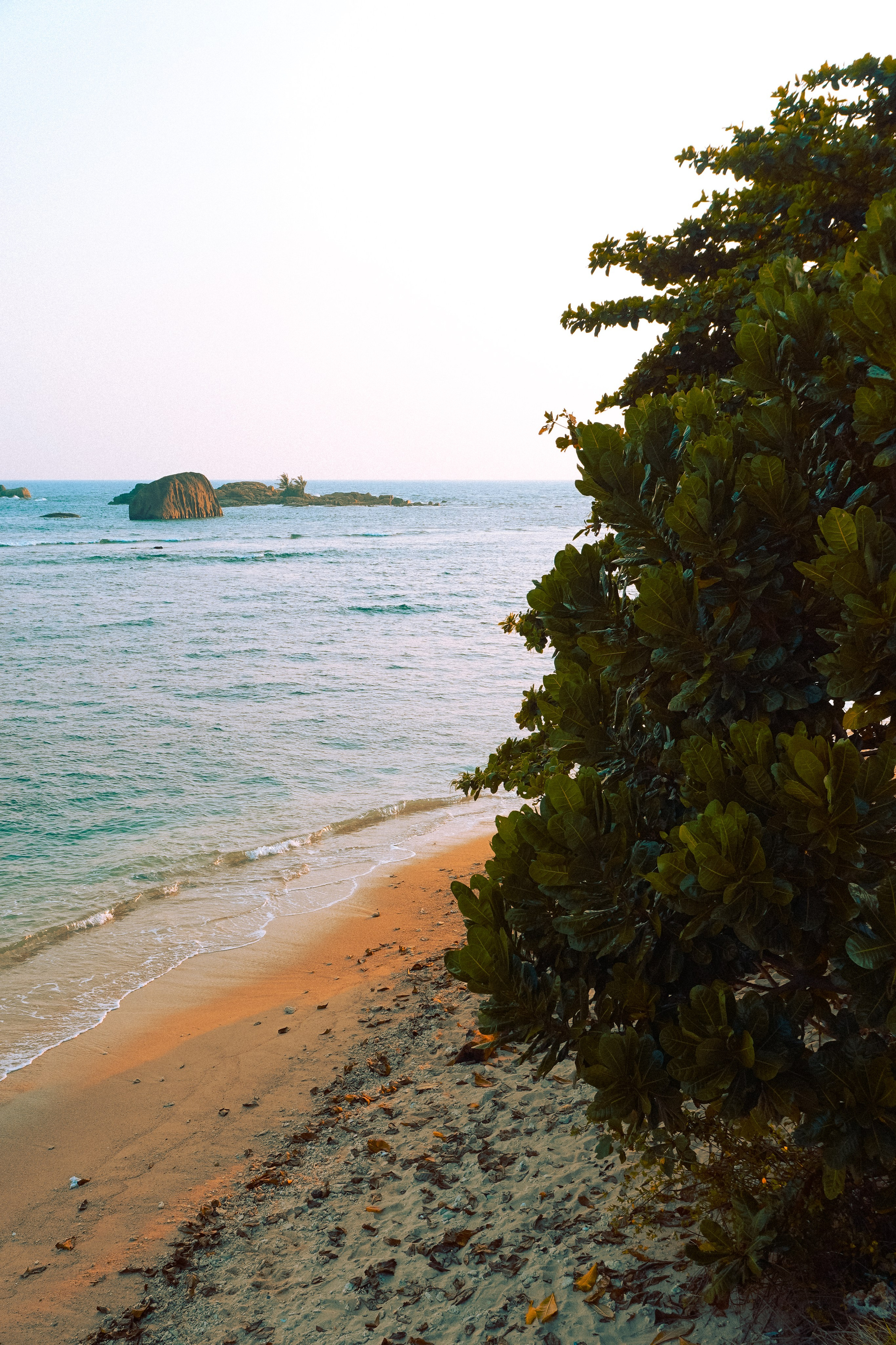 Шри-Ланка. Фотограф Алиса Аспер