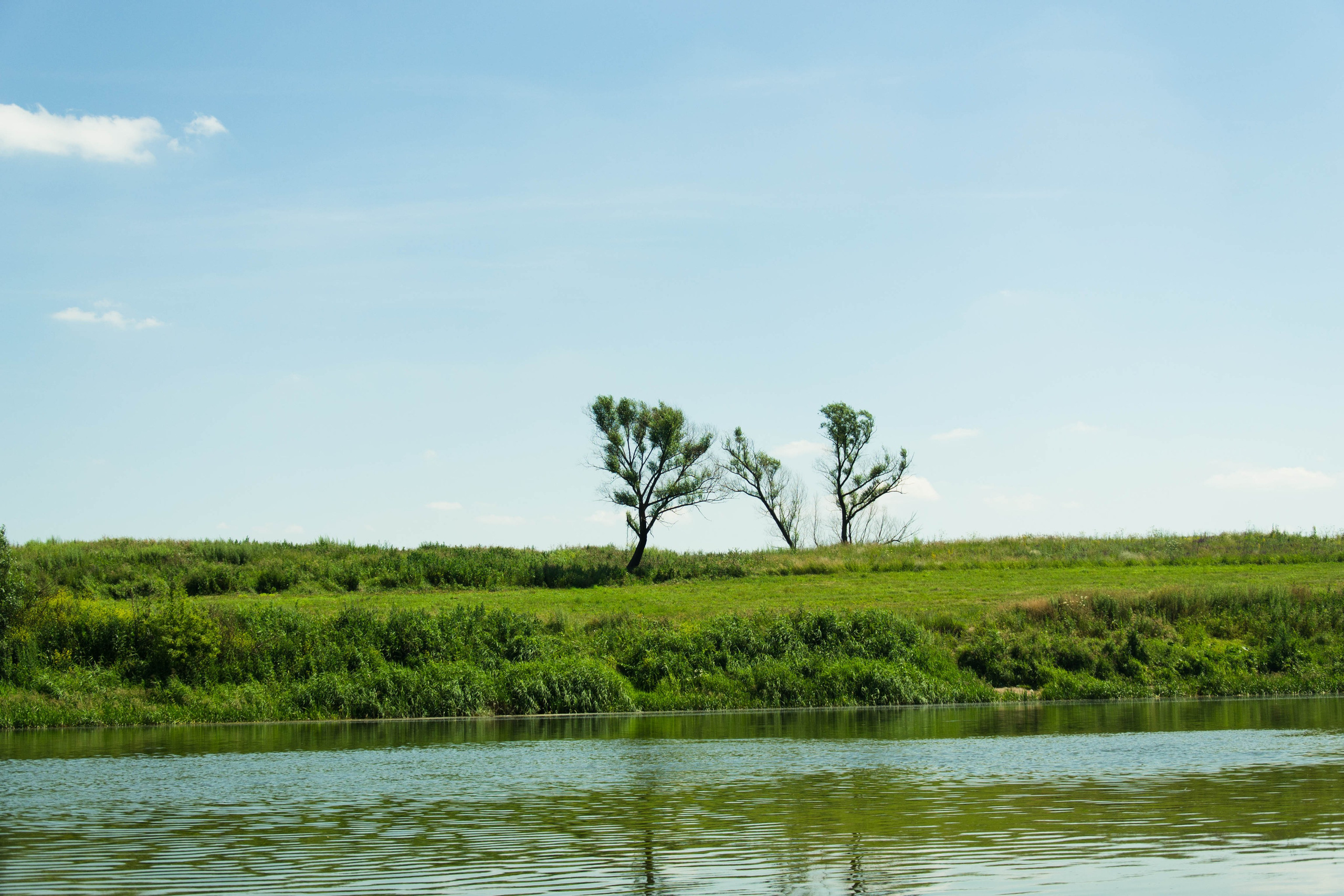 Дон. Главная