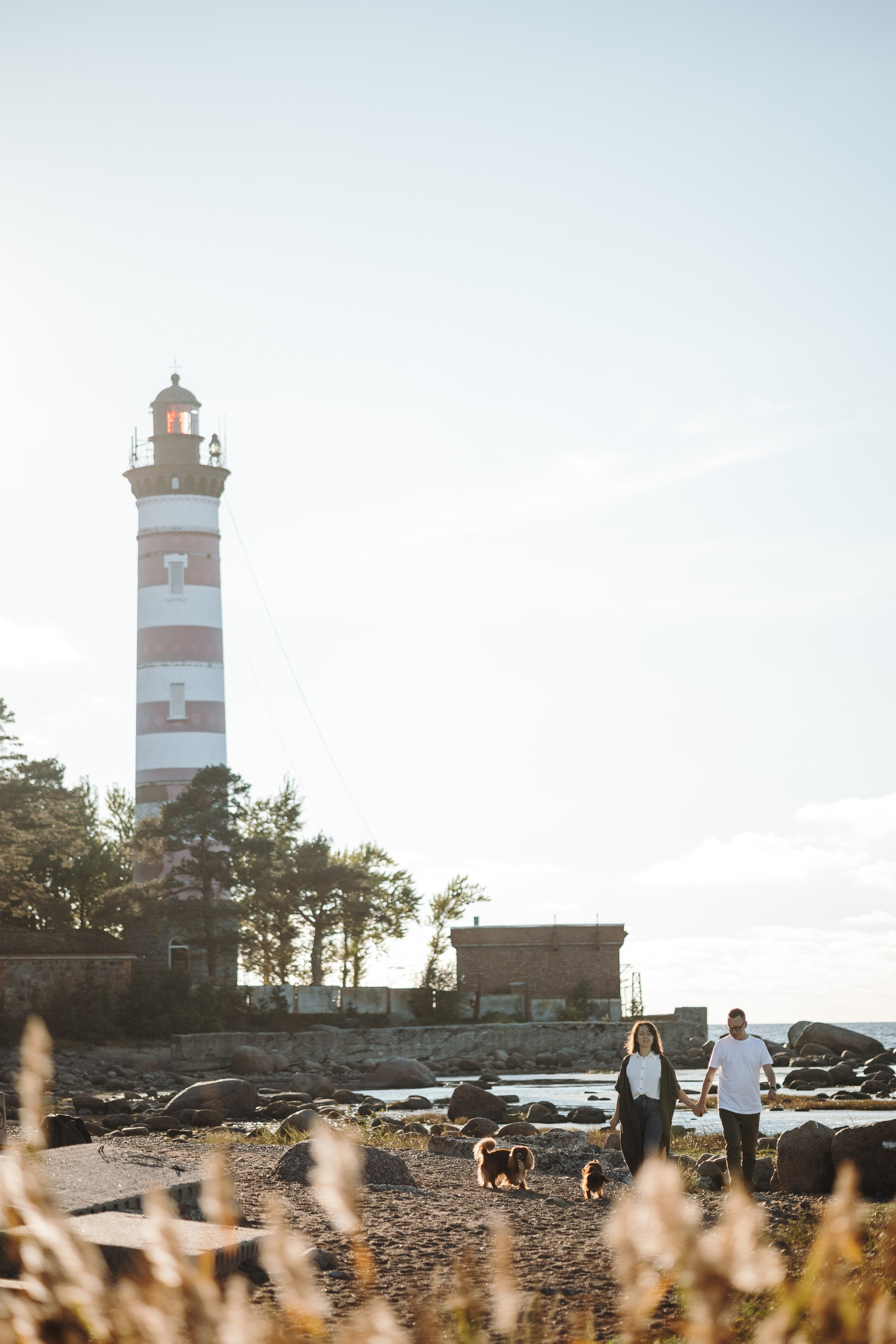 Верон, Гарри и их семья. Фотограф — Анималист | Санкт-Петербург