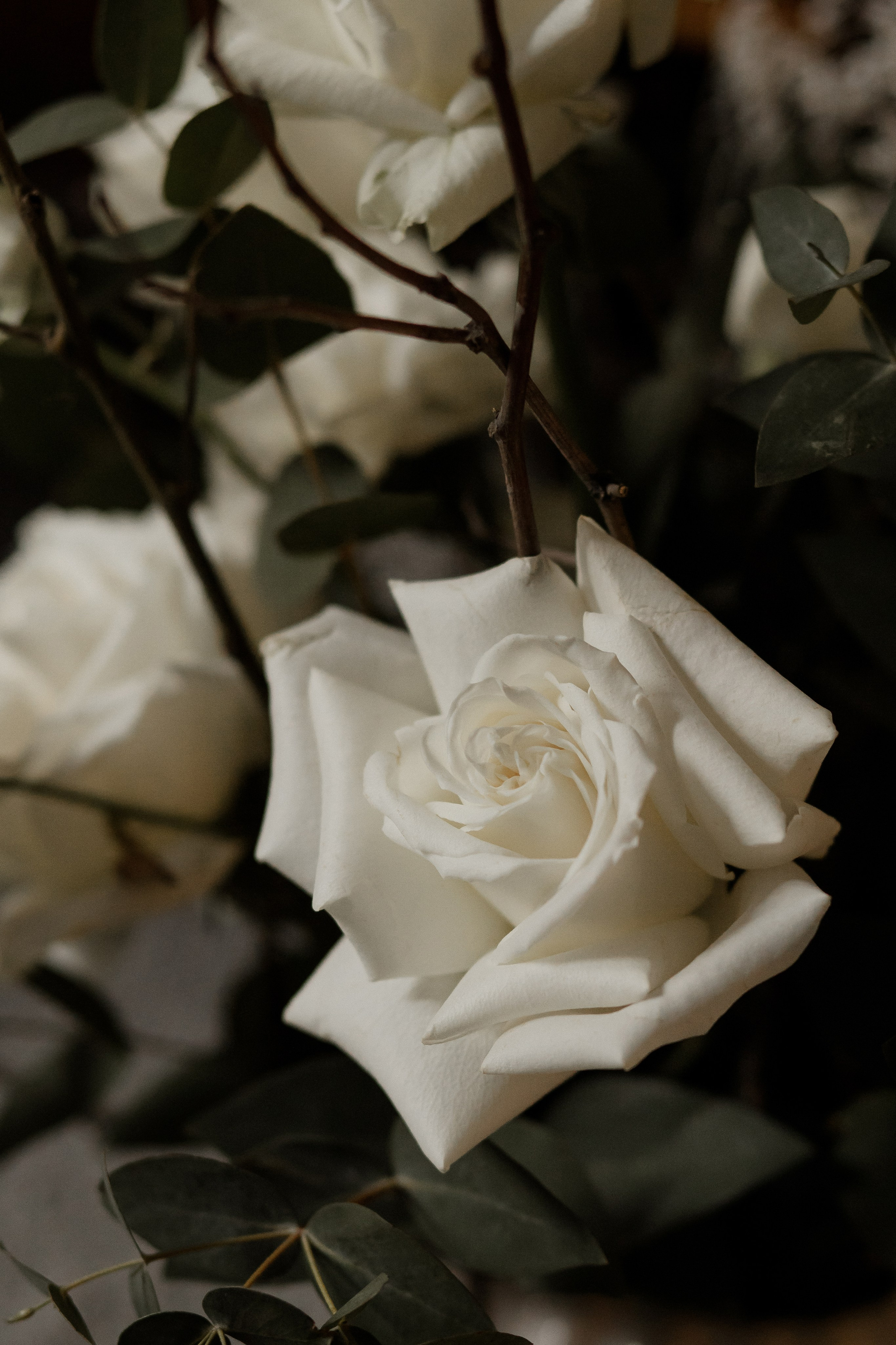 Кирилл и Вероника. Валеева Виктория | Свадебный фотограф в Ростове-на-Дону и Москве