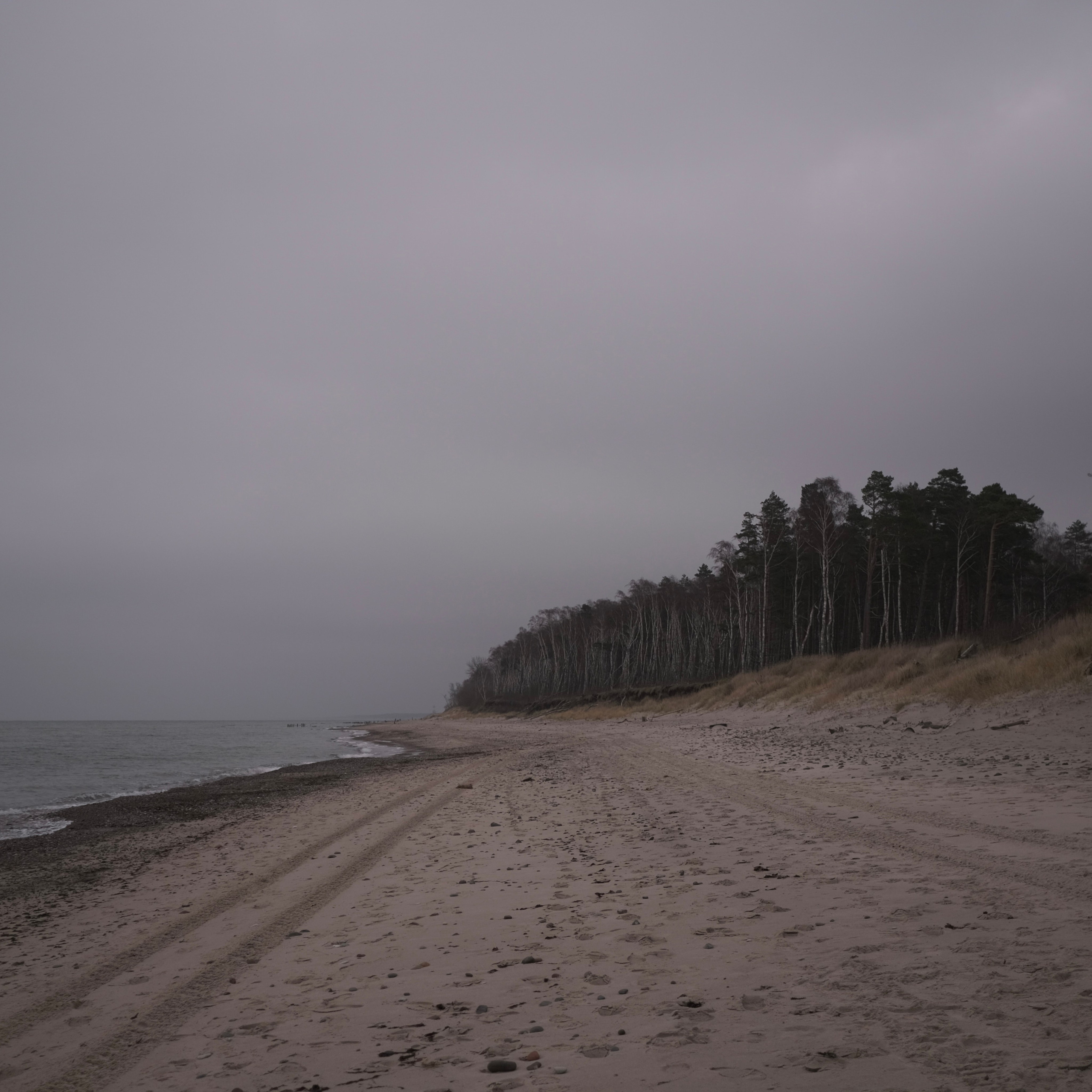 Калининград. LIYALEE PHOTO