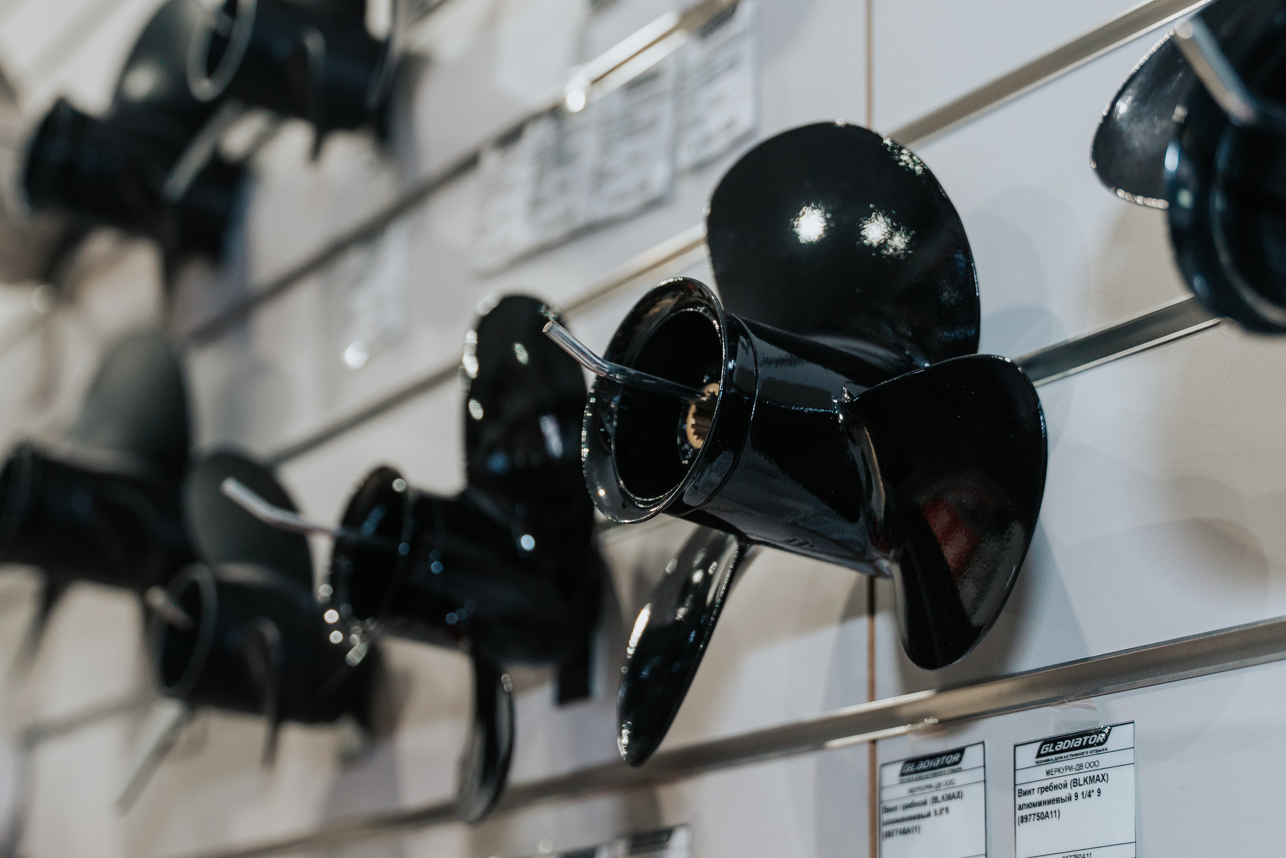 GLADIATOR. Фотограф Хабаровск