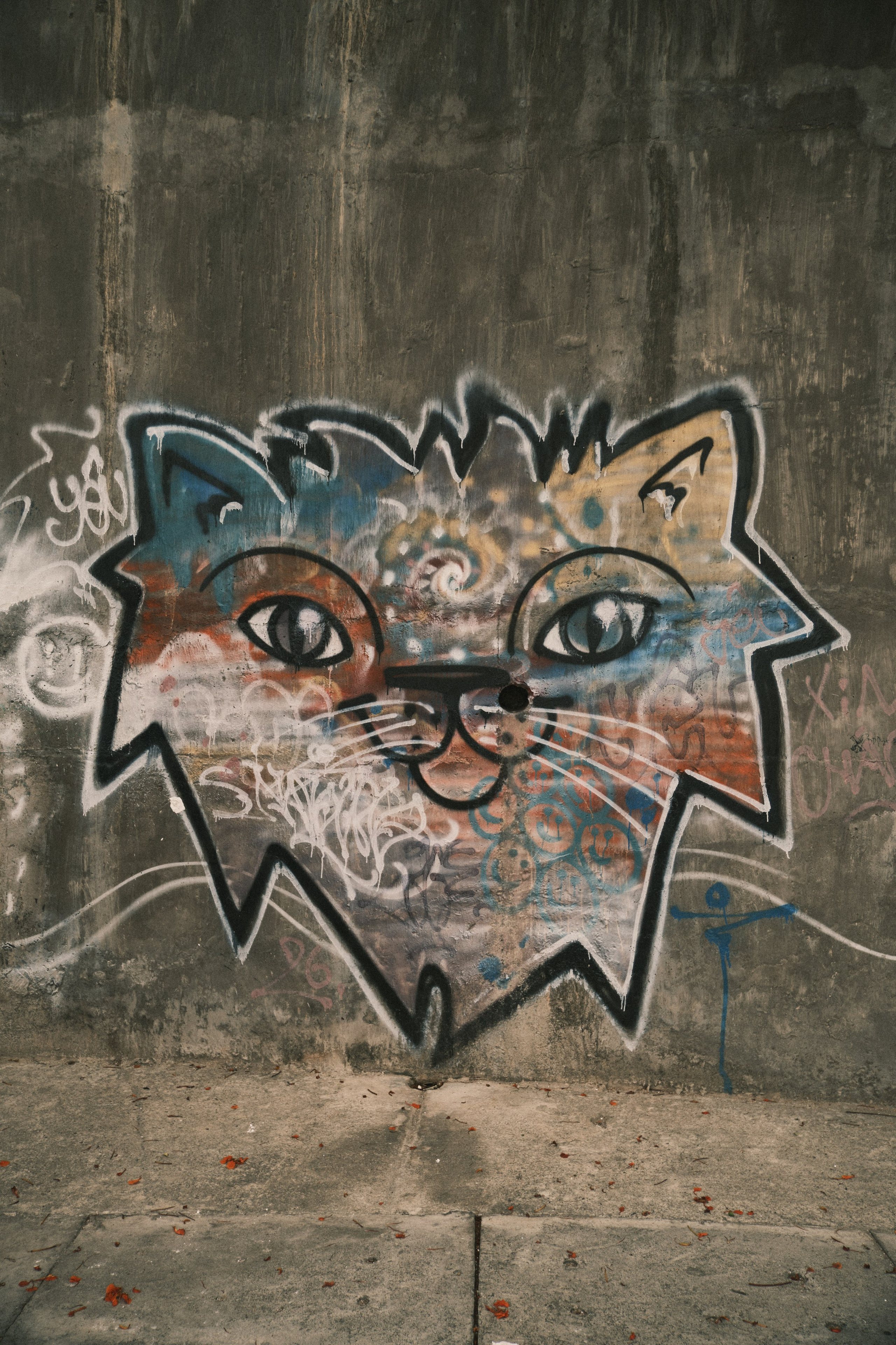 Арт. KIMEDIA