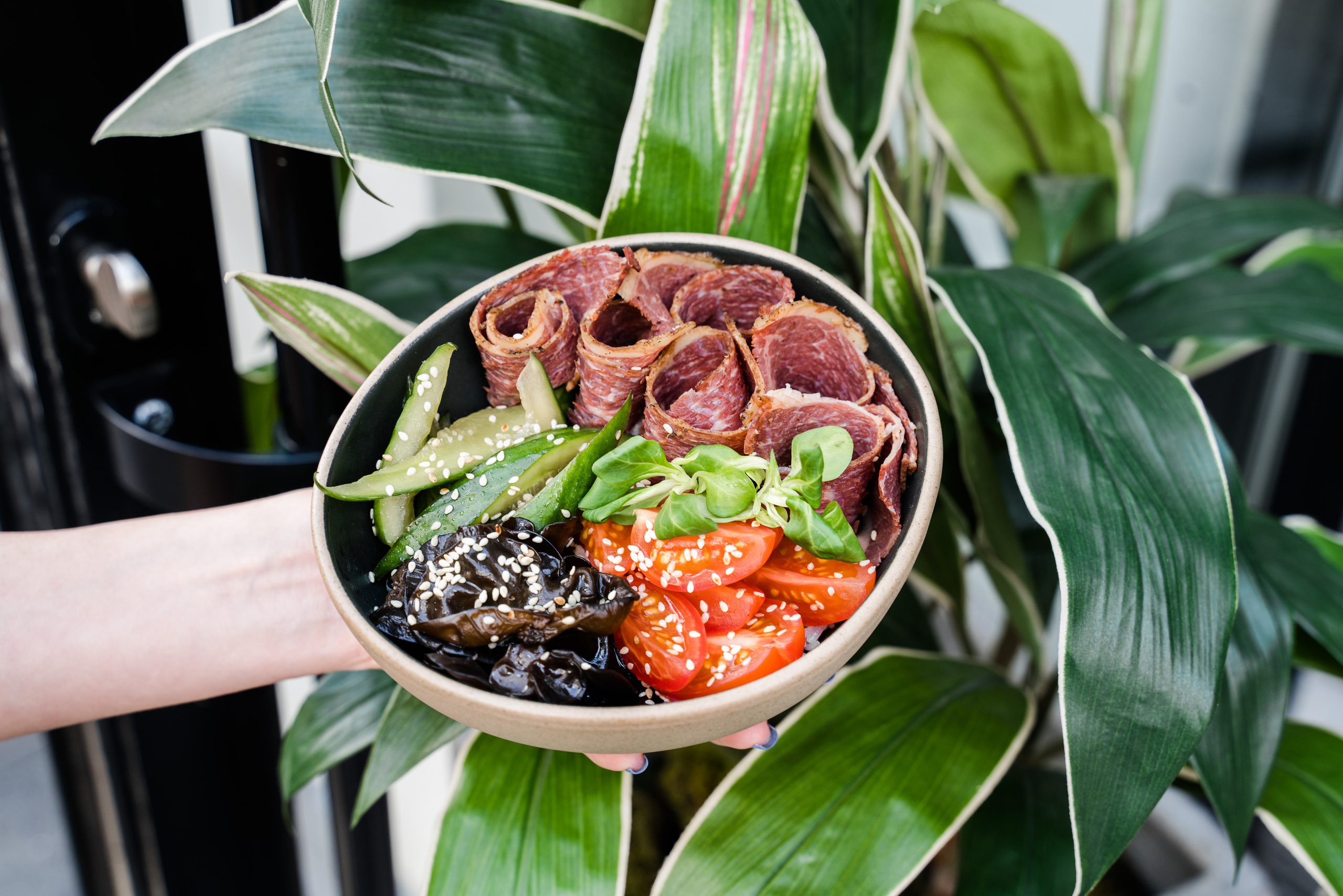 BELKA BAR. Репортажный и свадебный фотограф в Москве