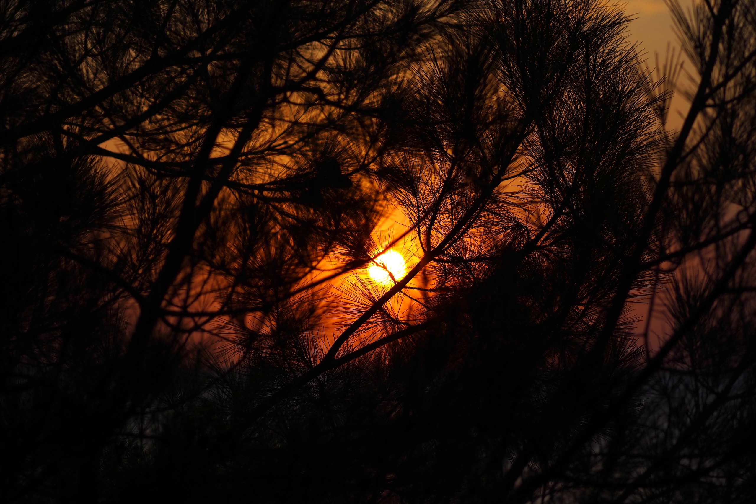 Черное море. Свадебный фотограф Копков Геннадий