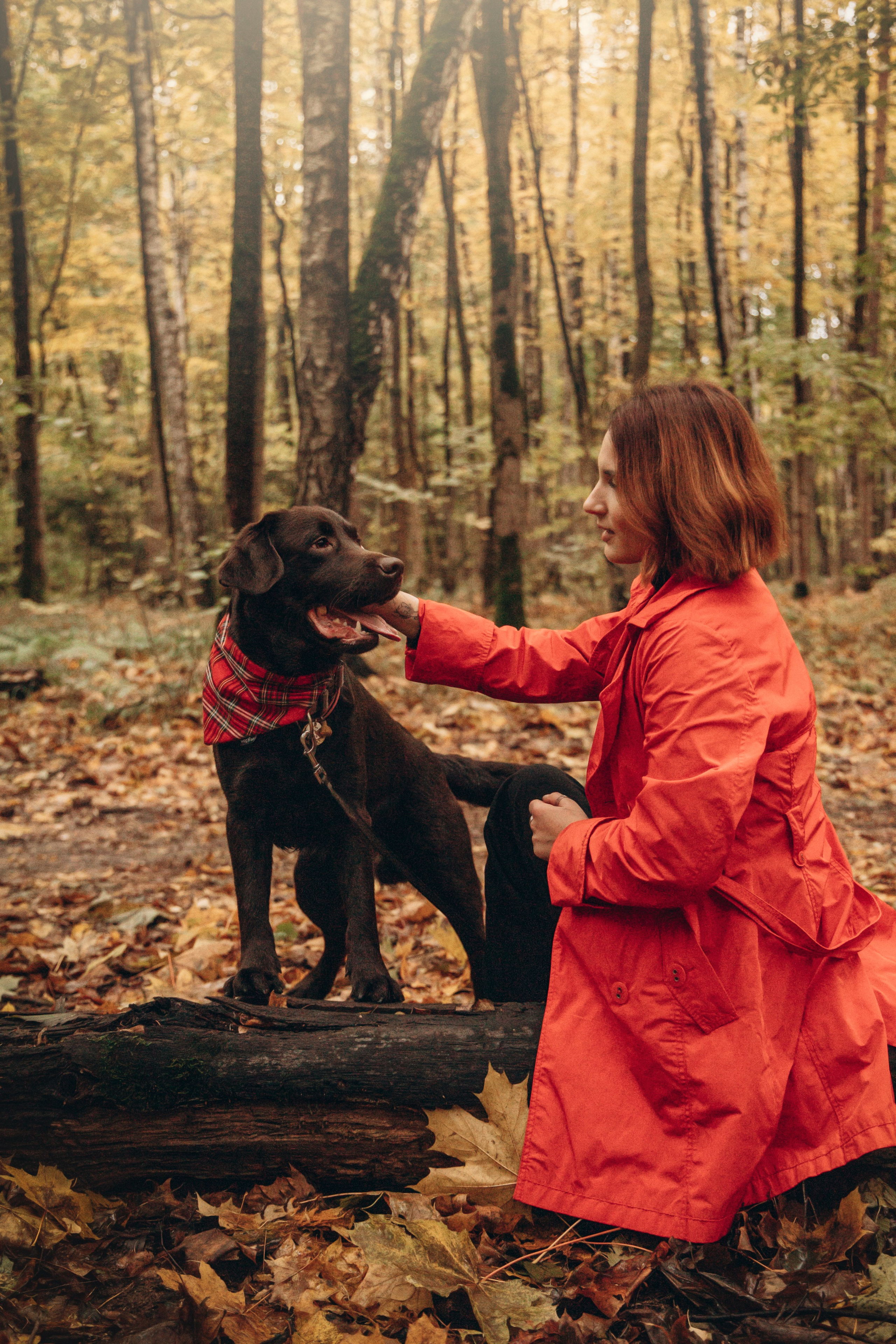 Арина и Сэмми. Фотограф — Анималист | Санкт-Петербург