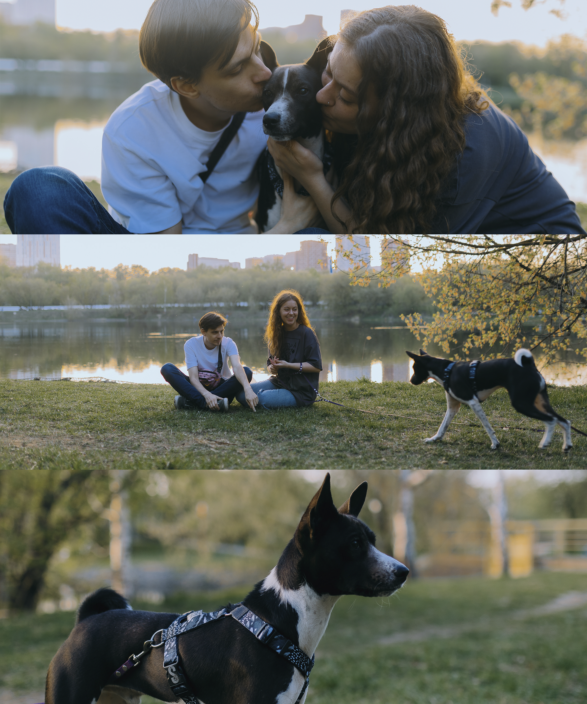 🐶. Фотограф Вика Про