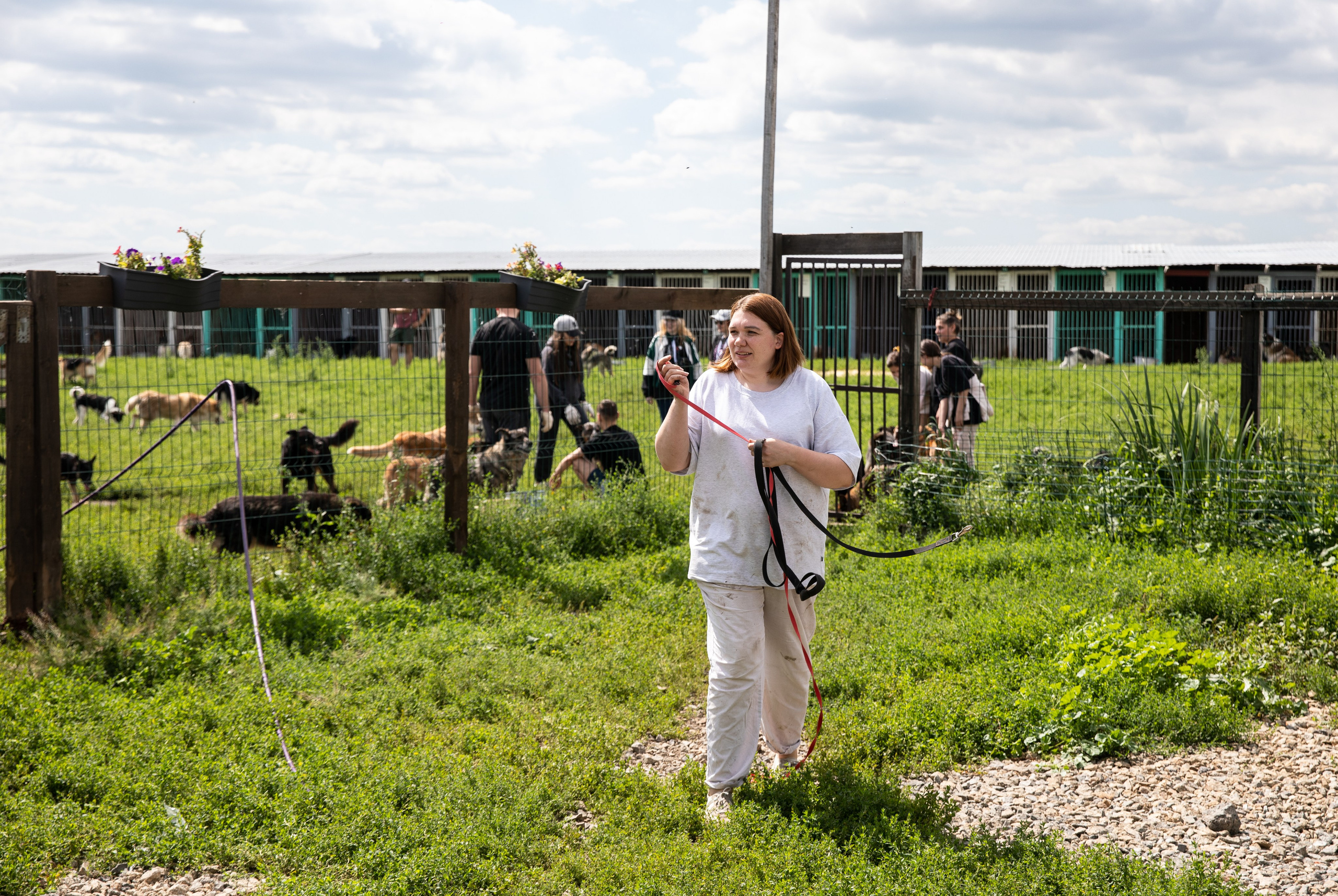 Приют — Наш дом. Репортажный и свадебный фотограф в Челябинске Елисеев Павел