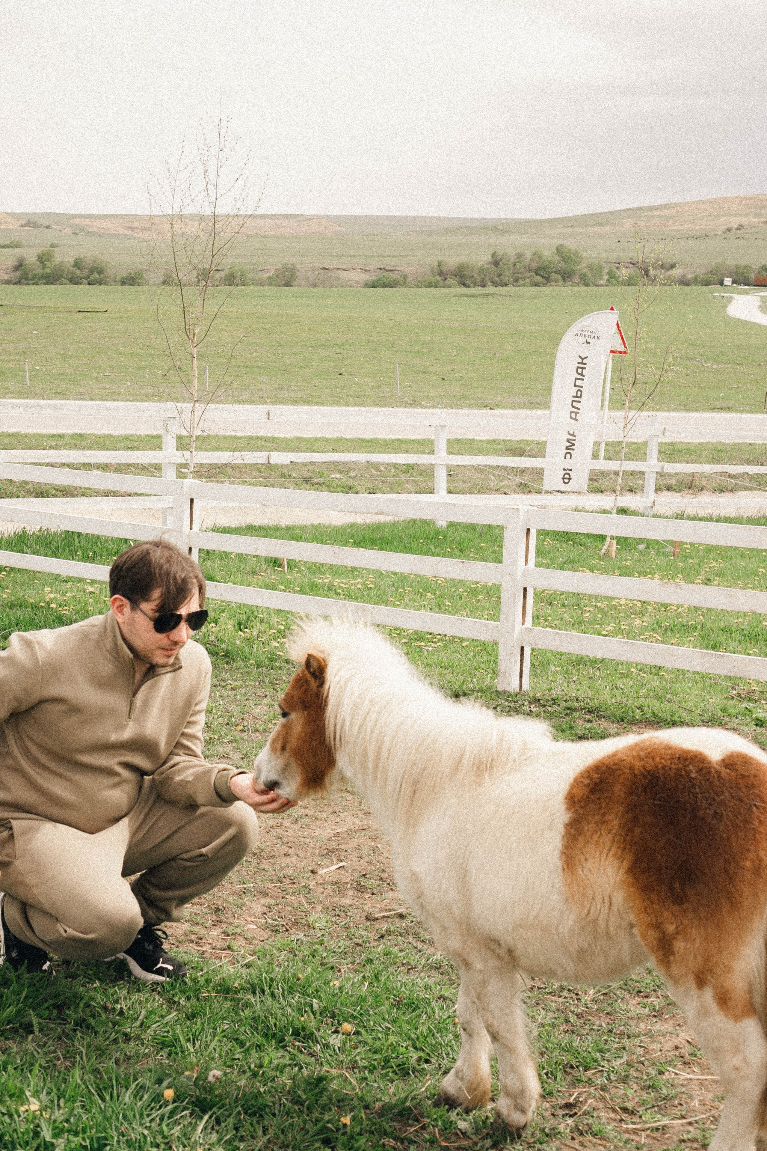 Ферма Альпак. Профессиональный фотограф, Санкт-Петербург — Виктория Богомолова