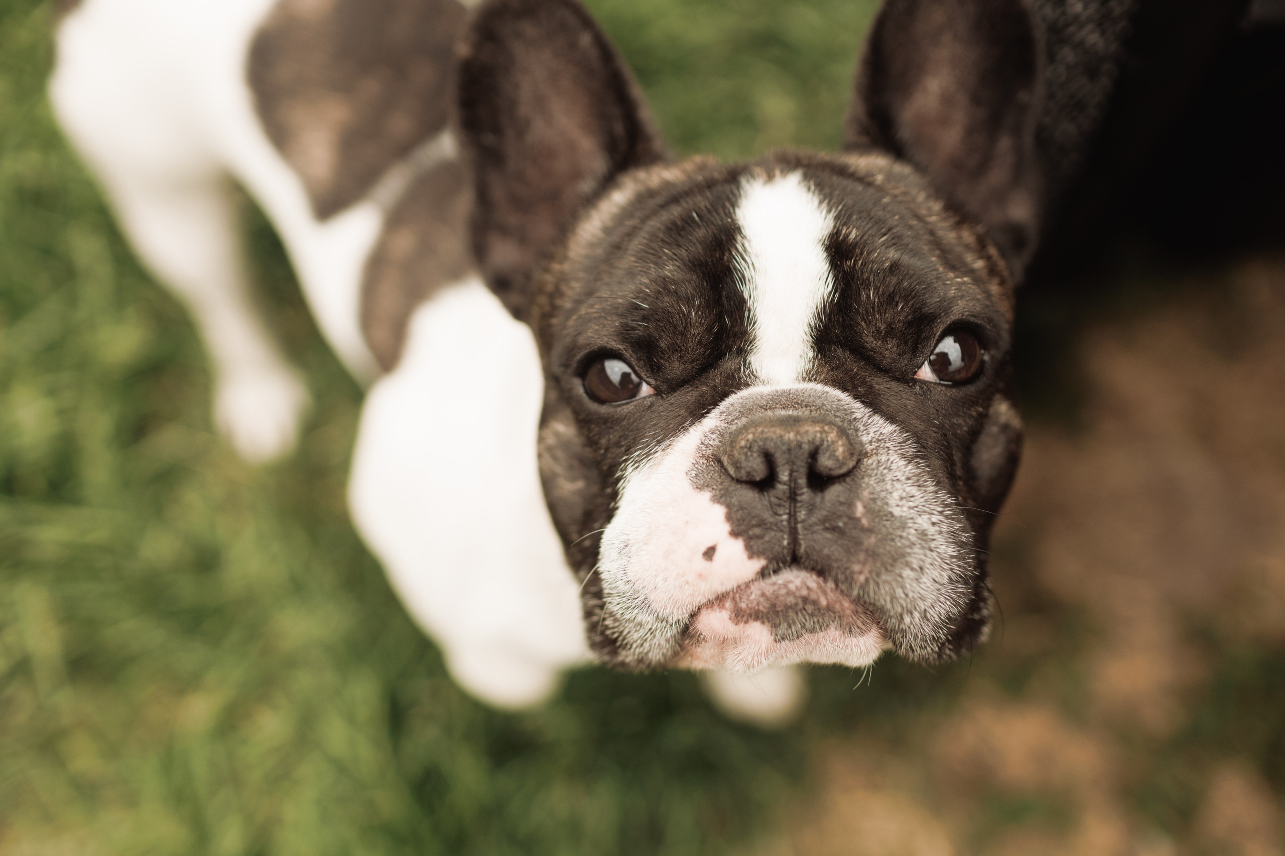 Вита. Портретный и свадебный фотограф в Белгороде Глухова Кристина