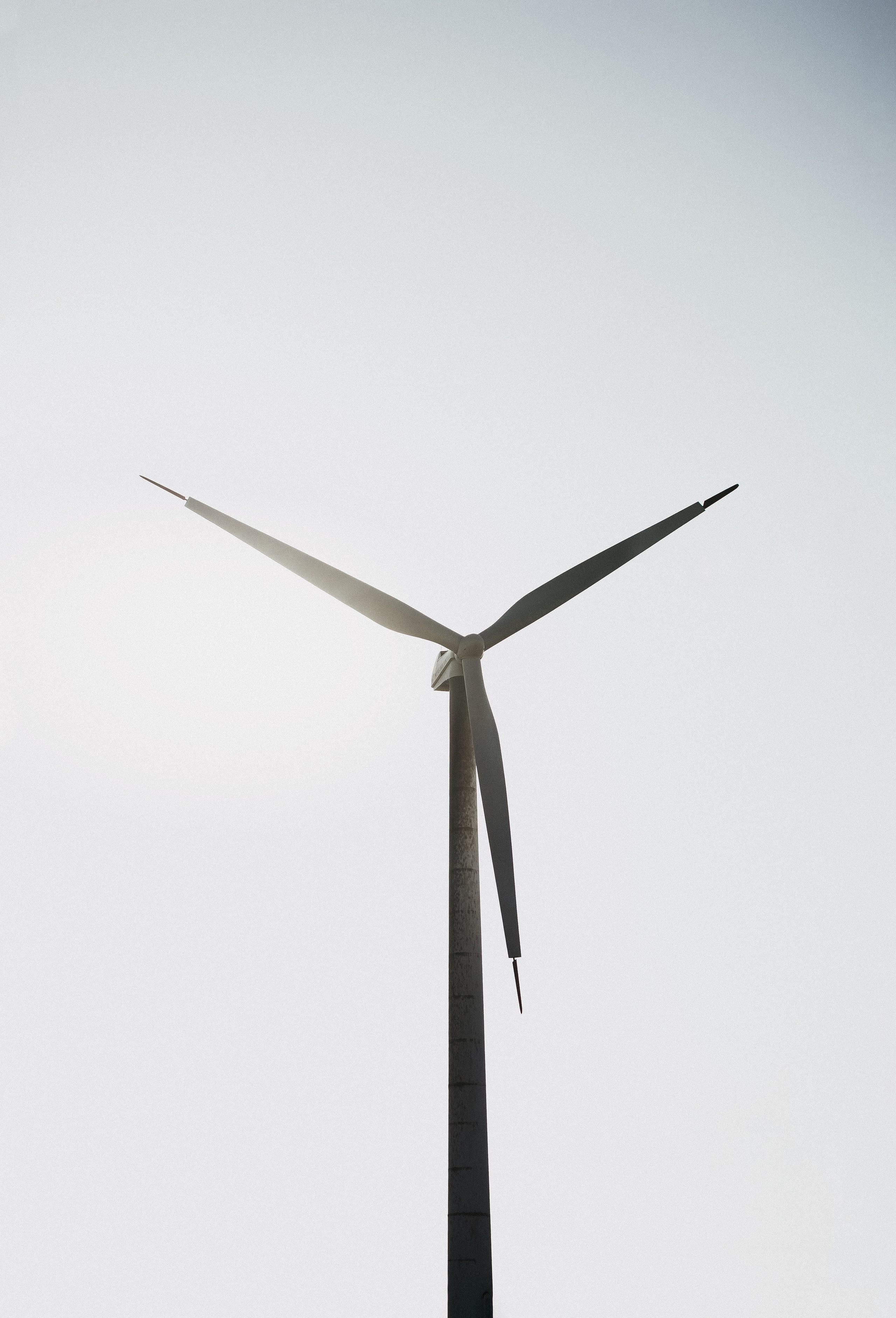 Жизнь. Фотограф Алматы | Весь мир — Никита Колодин