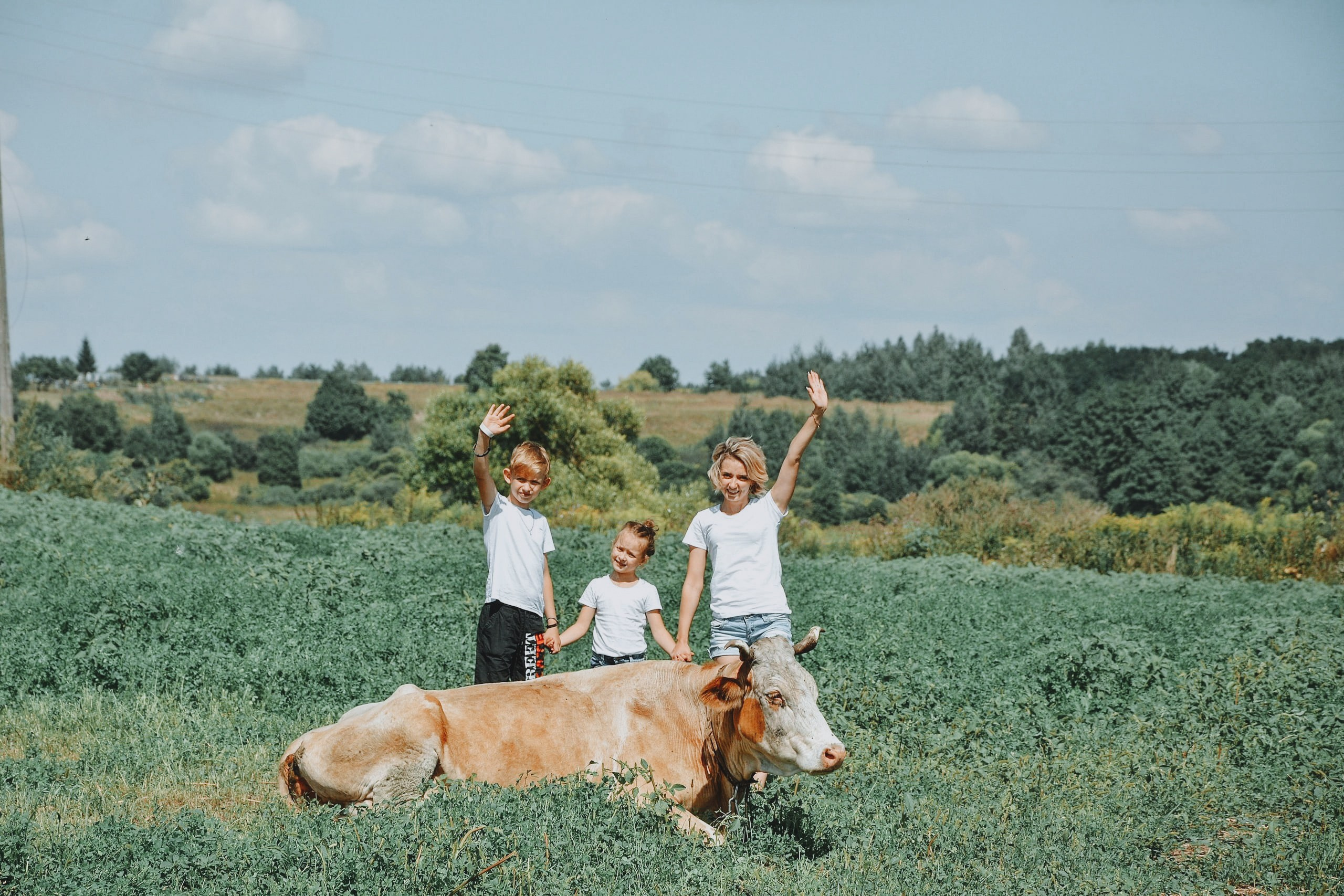 Подсолнухи. Детский и семейный фотограф Ирина Баранова