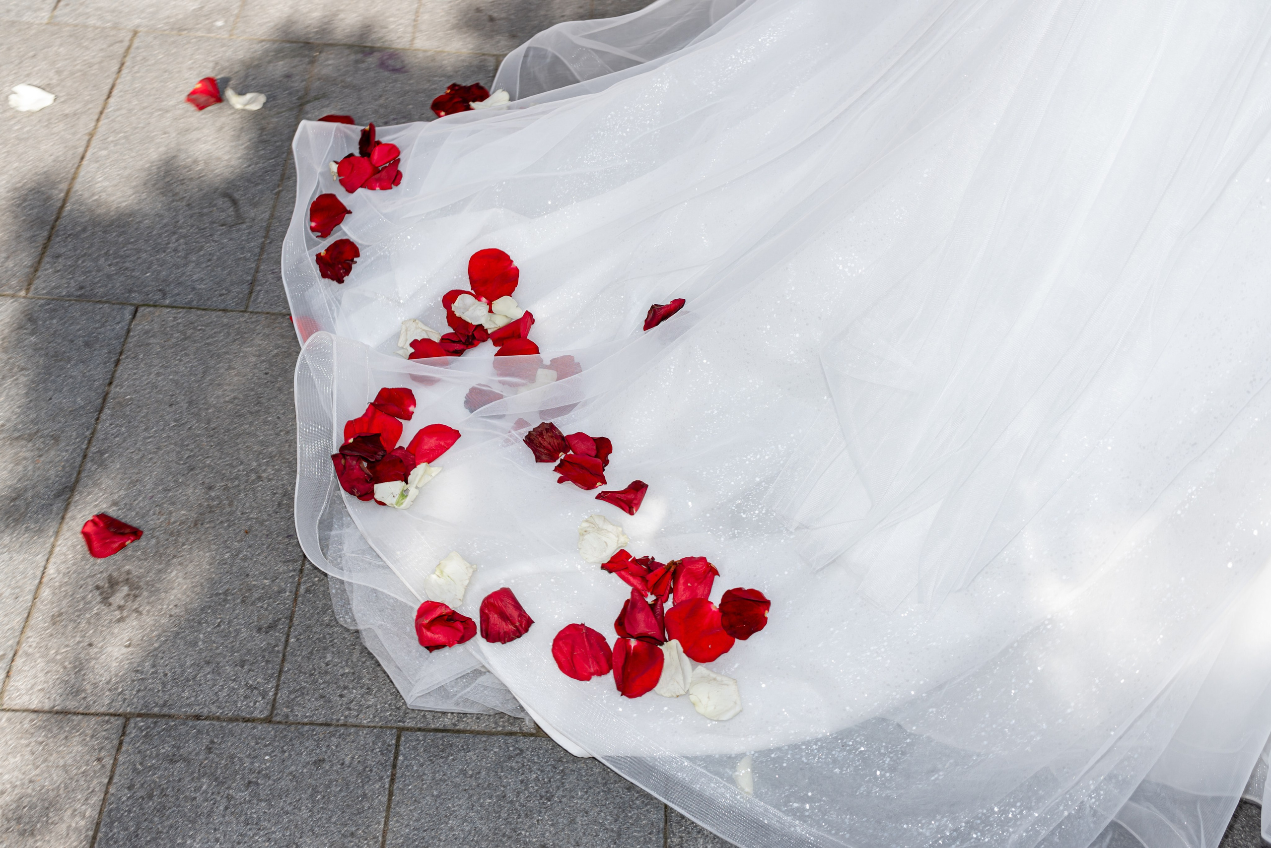 Станислав и Ульяна. Свадебный фотограф в Москве и Московской области Елена Четоркина