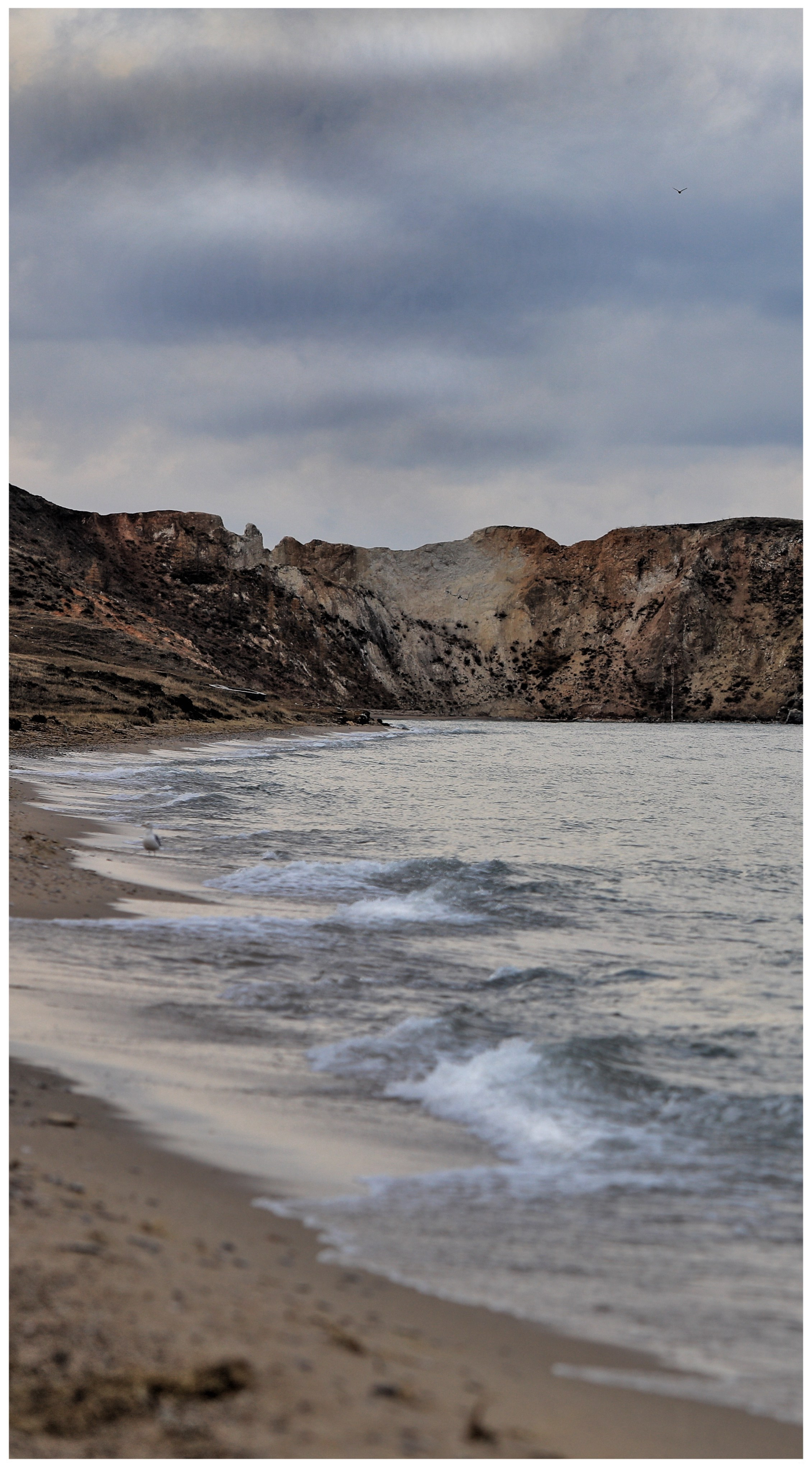 2020. Тащилин Сергей. Фотографии. Жизнь. Хобби