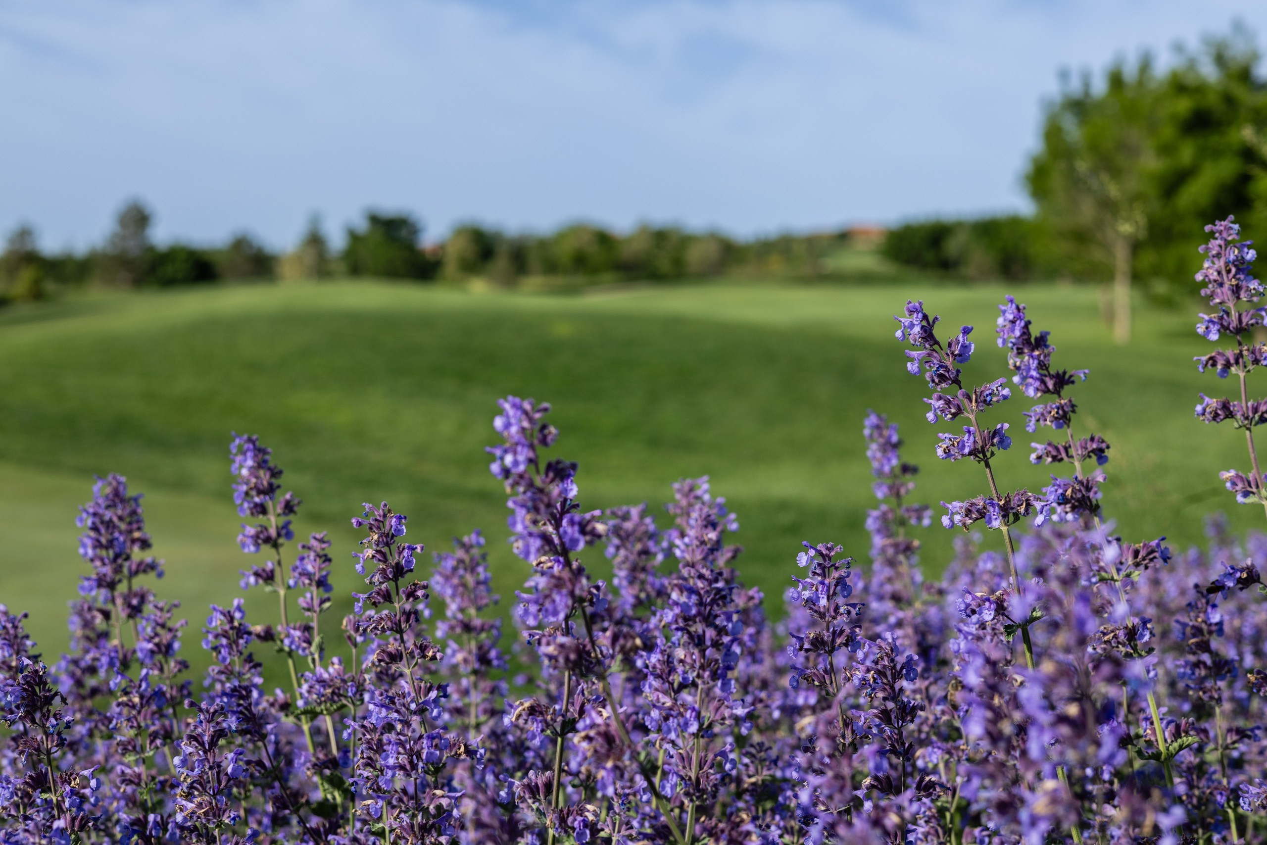 Архитектурная фотосъемка гольф клуба Геленджика. Worldwide Wedding Photography Demskoy Studio