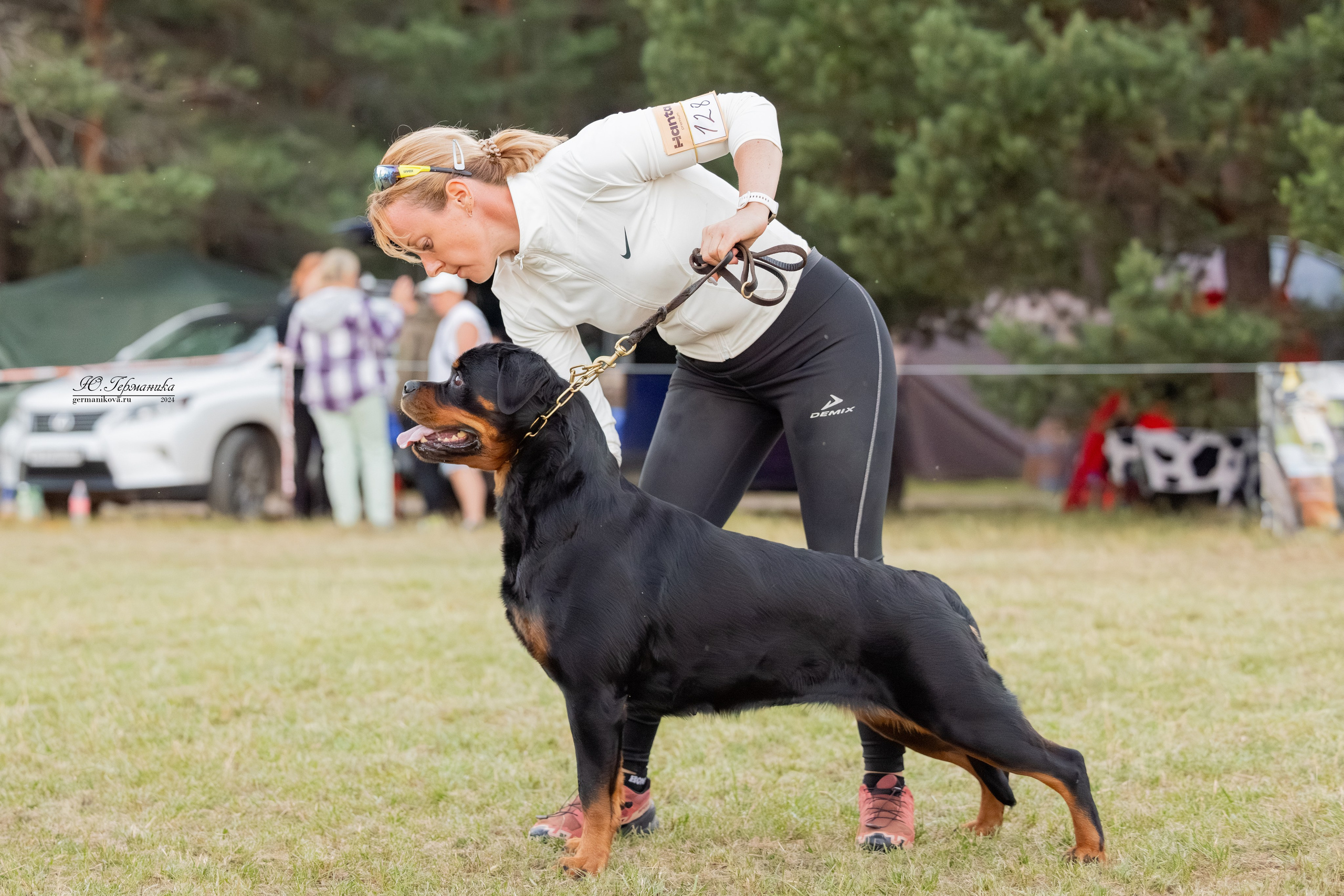 ПК и КЧК ротвейлеры Тверь 6-7.07.2024. Фотограф-анималист Юлия Германика