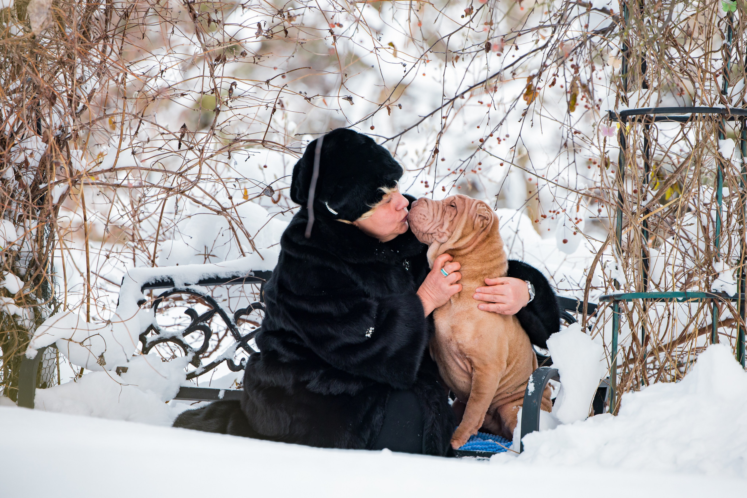 В гостях у шарпеев 16.01.2024. Фотограф-анималист Юлия Германика