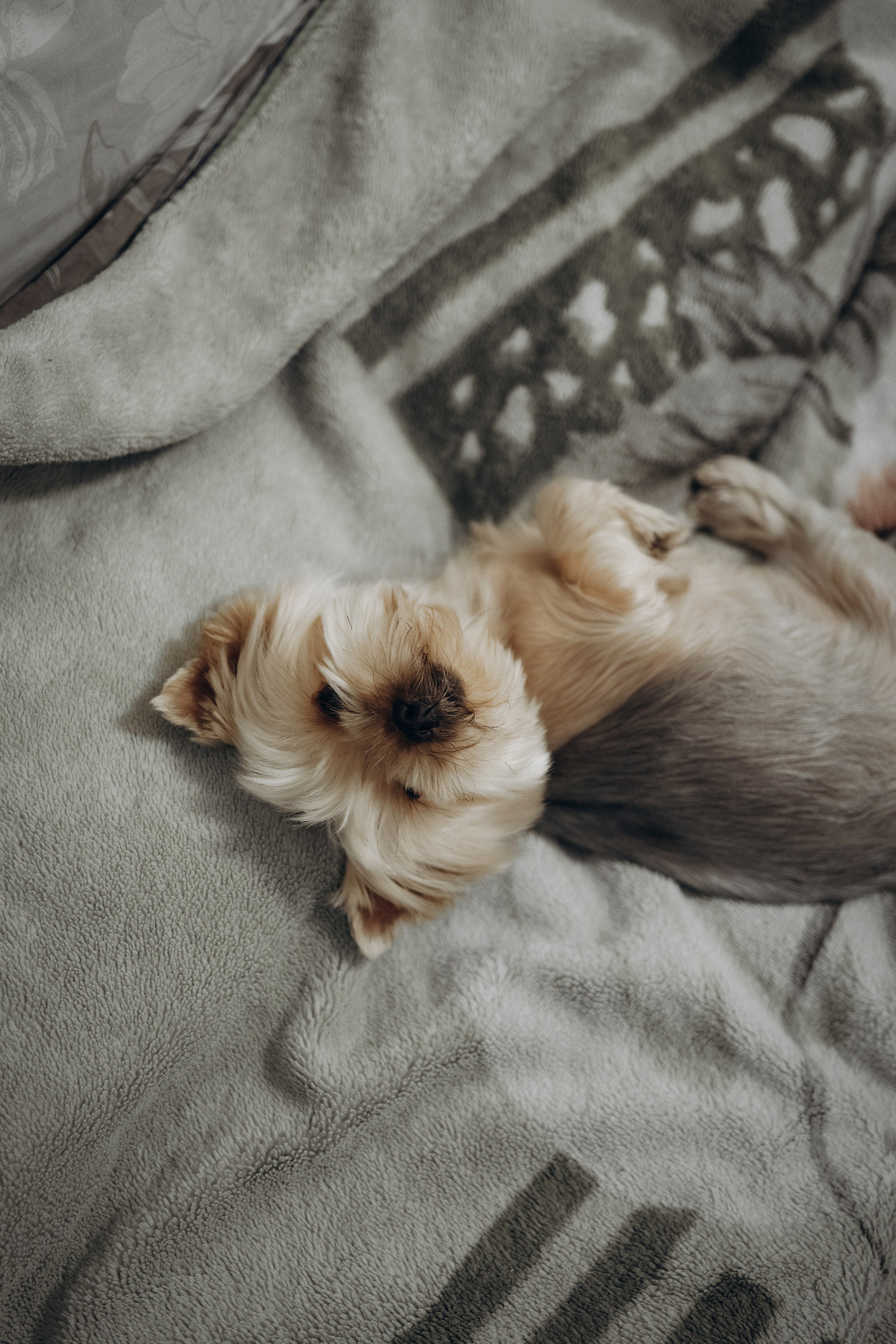 Малыш Вова и семья. Семейный и детский фотограф в Санкт-Петербурге